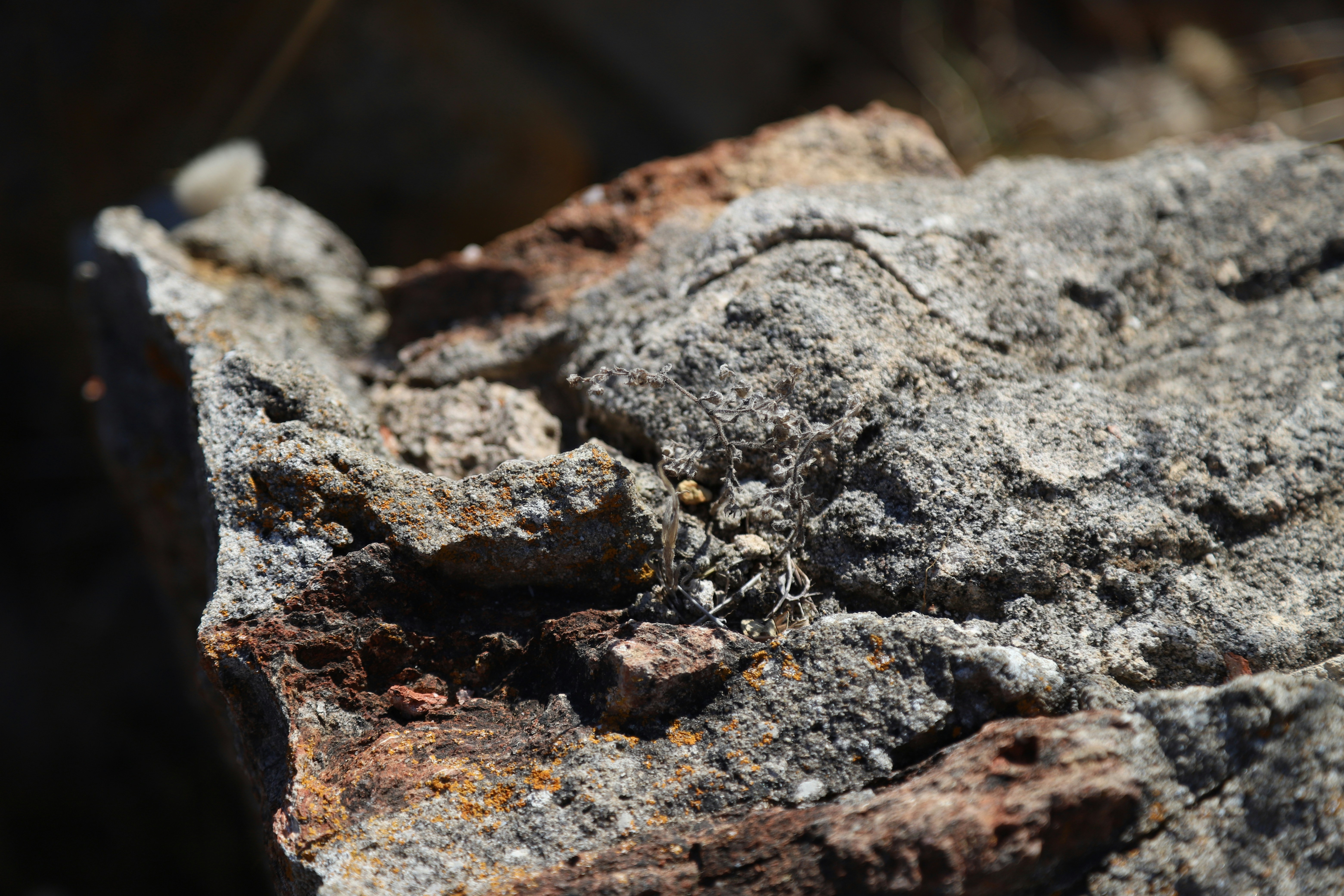 Close-up of a weathered rock formation.