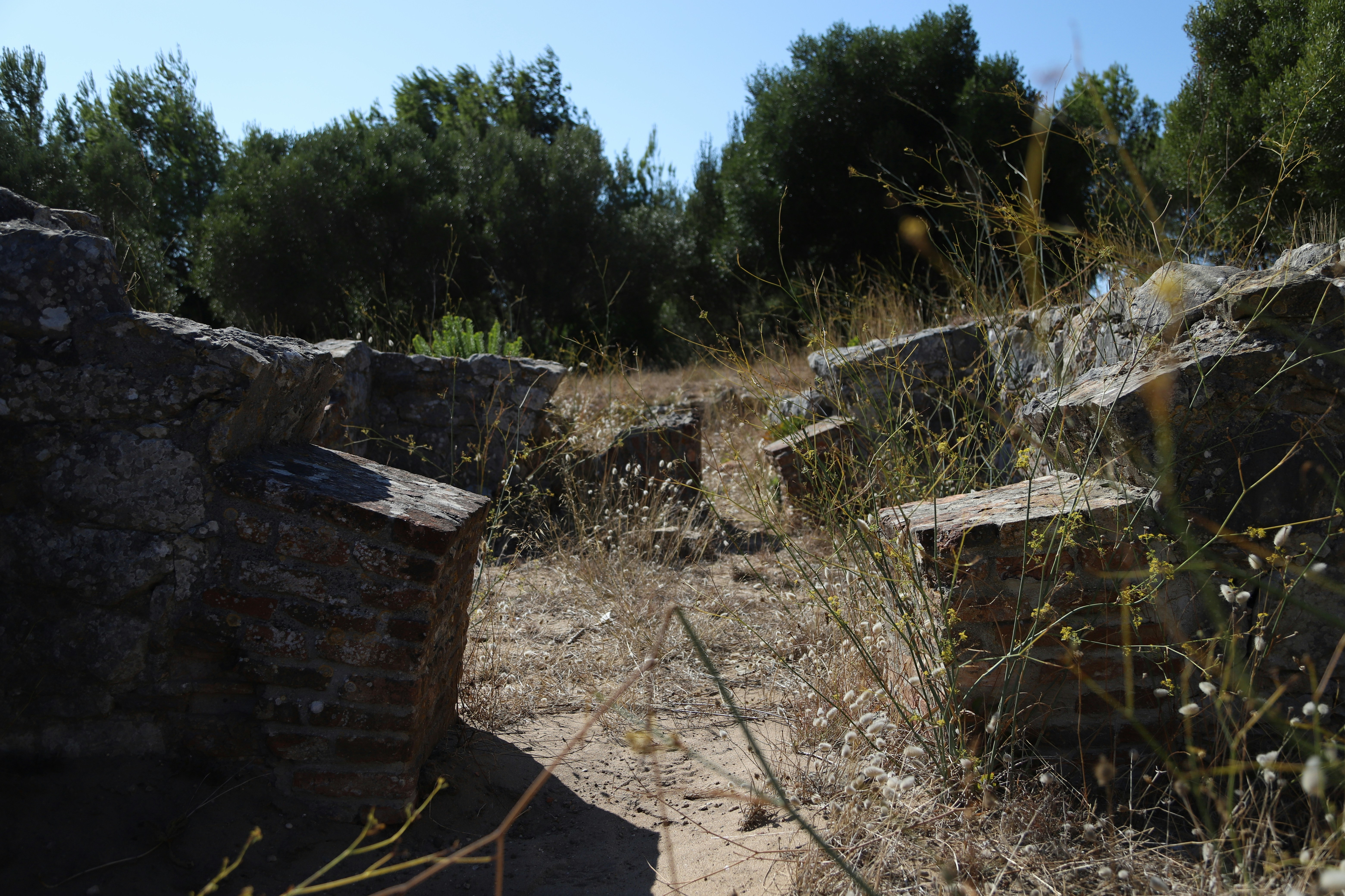Ancient ruins sit amid dry grass and trees.