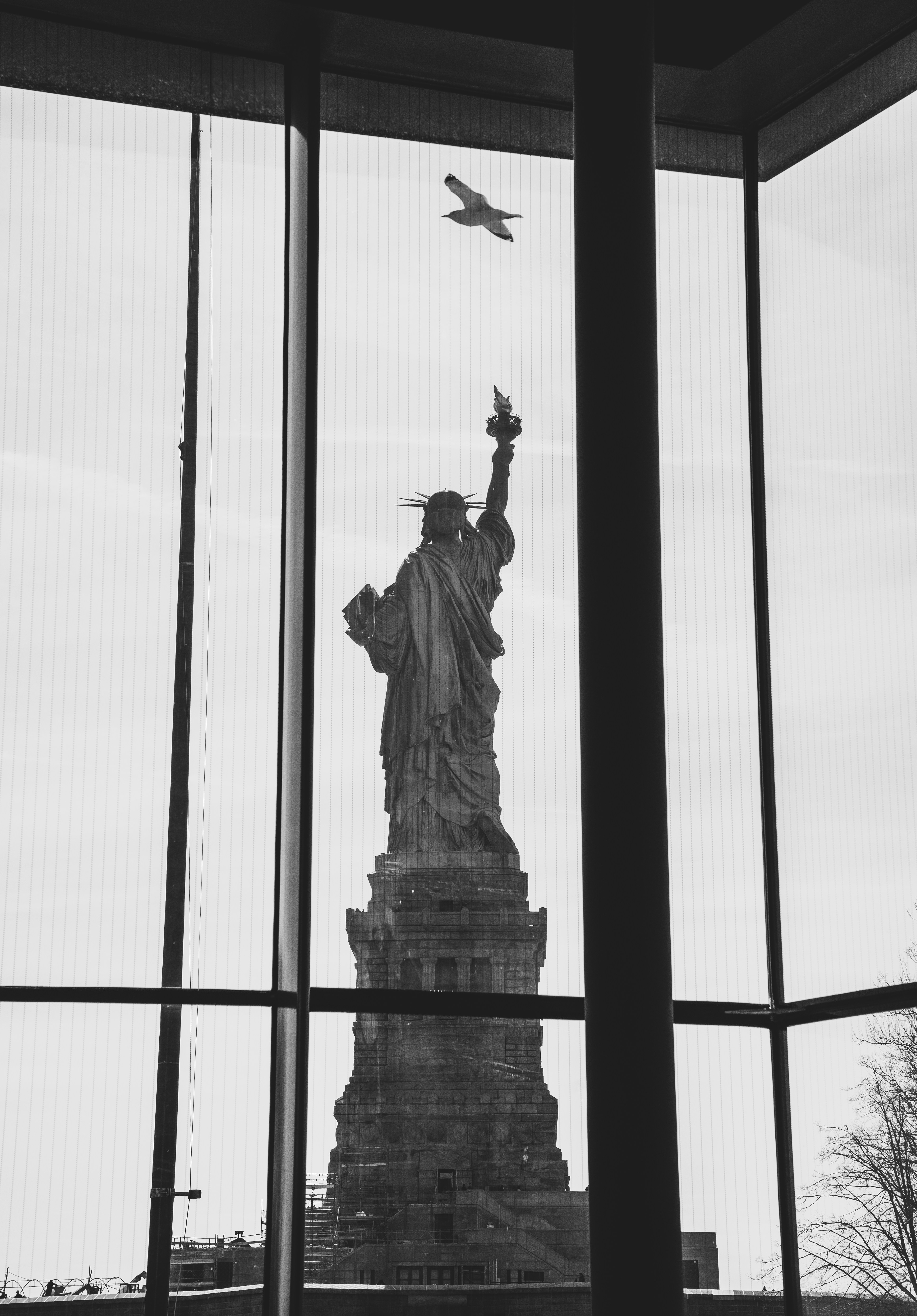 Senhora liberdade emoldurada por uma janela com um pássaro. foto – Imagem  grátis sobre Arte na Unsplash, image size:3000x4304