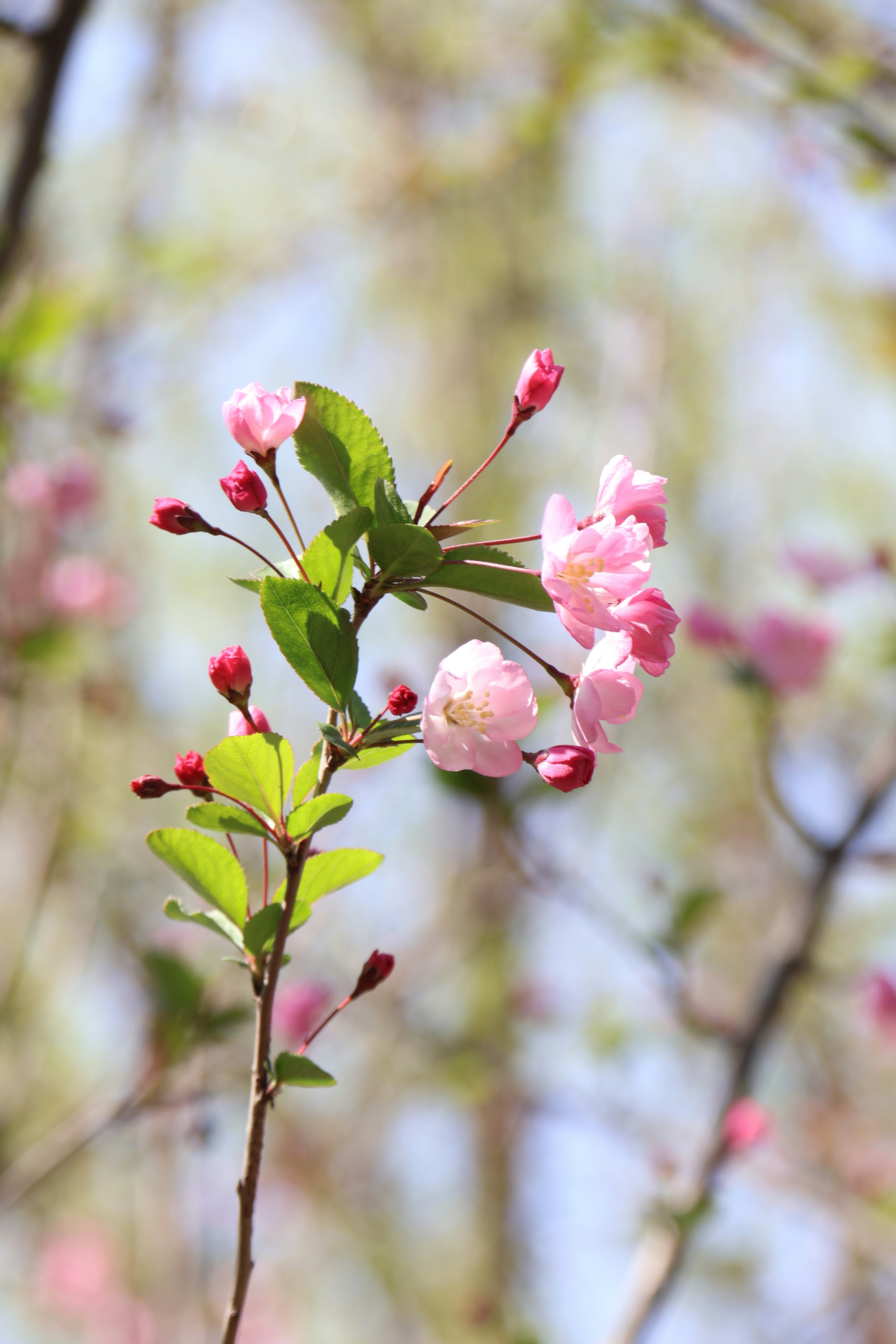 Photo by rollingplanet