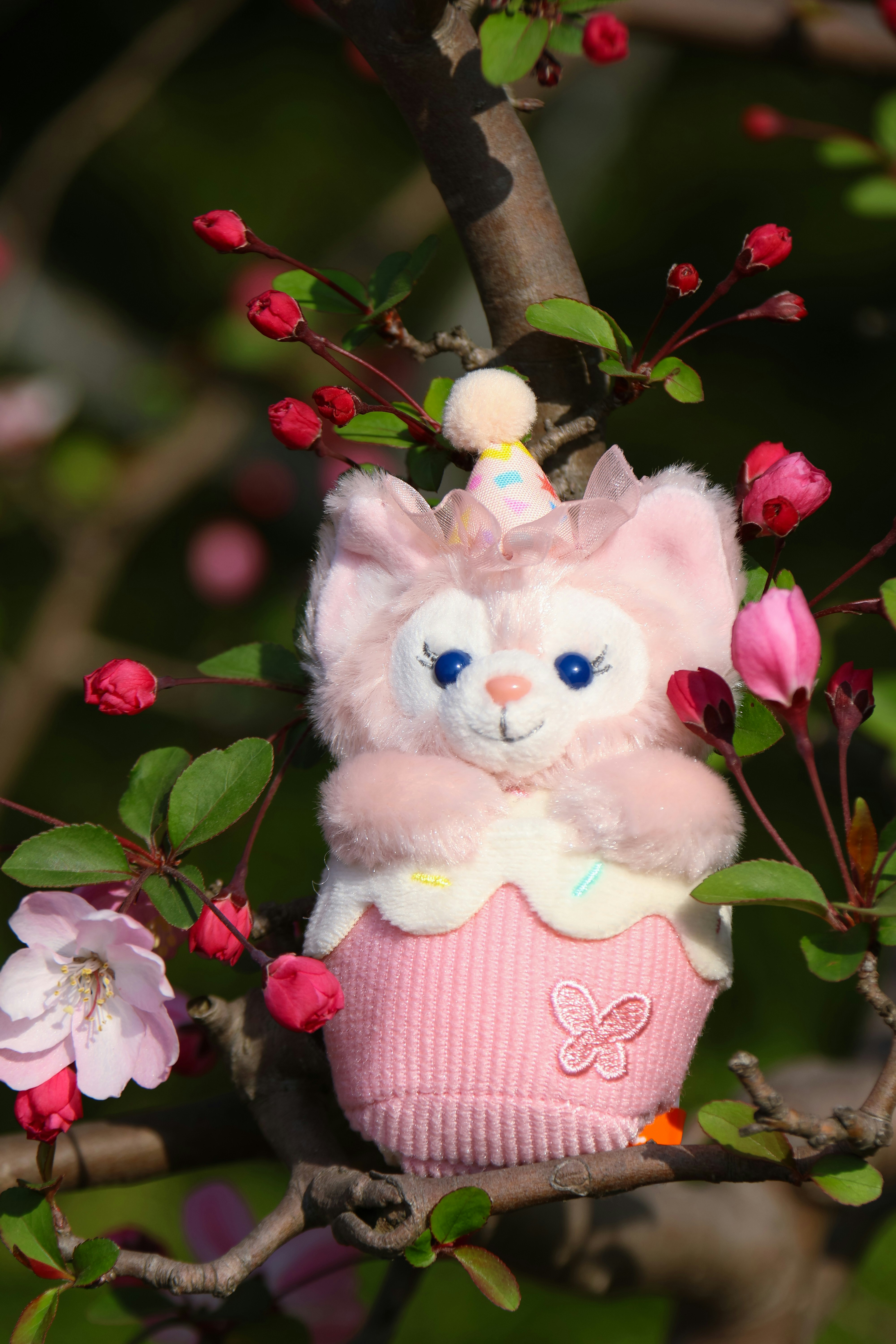 Photo by rollingplanet