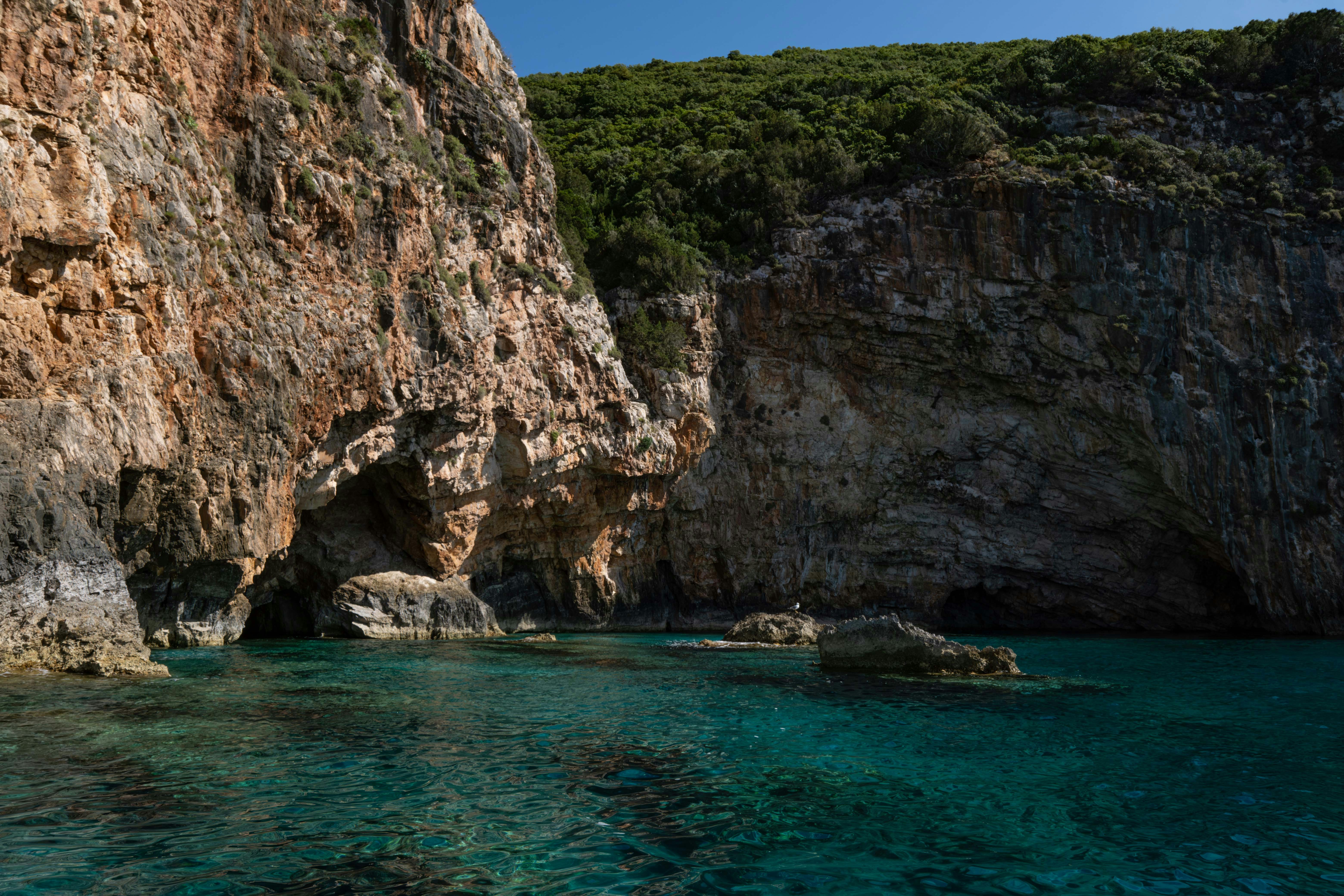 Photo by francesco_ungaro