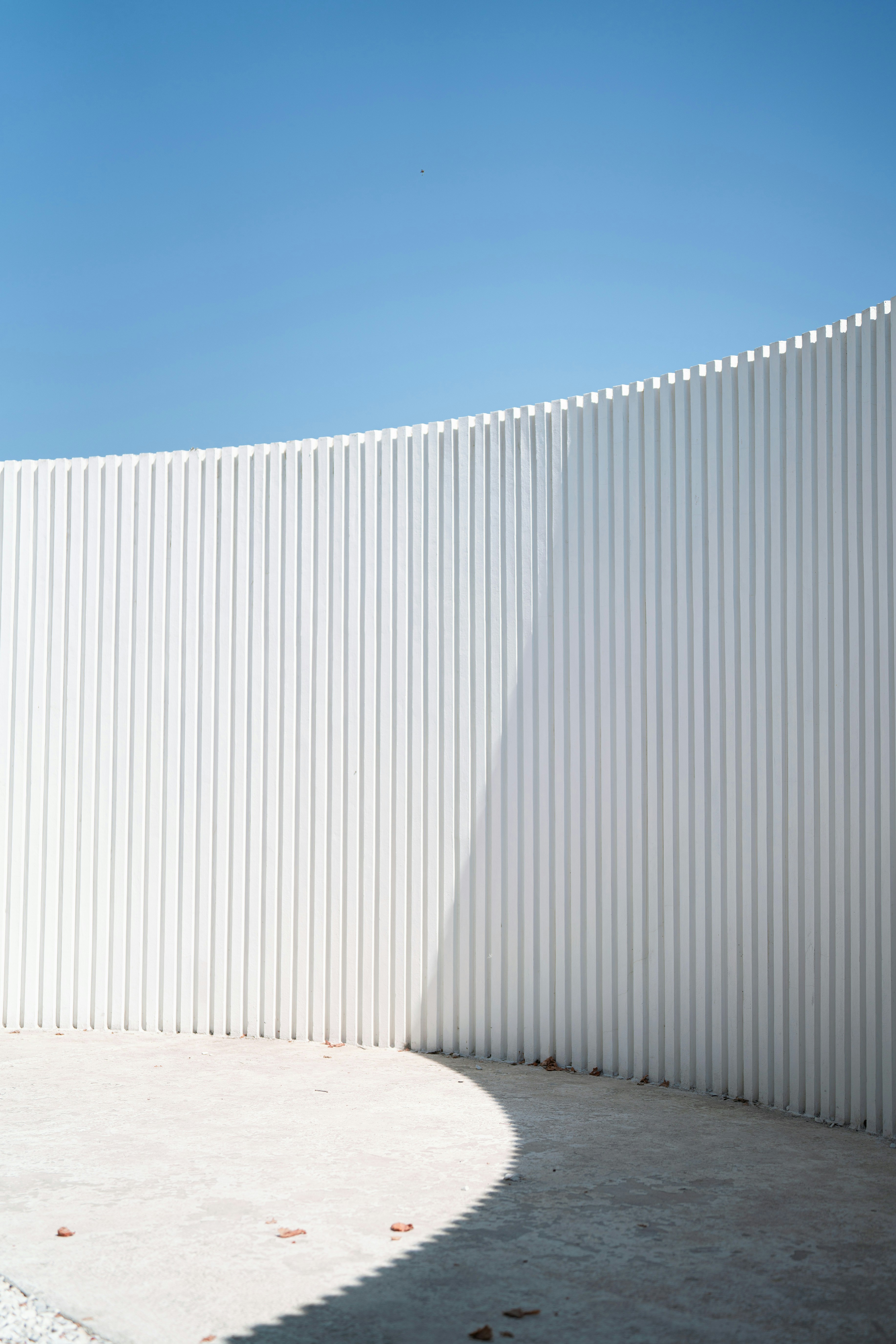 야보하로 일상에 특별함을 더하는 5가지 비밀 공개!