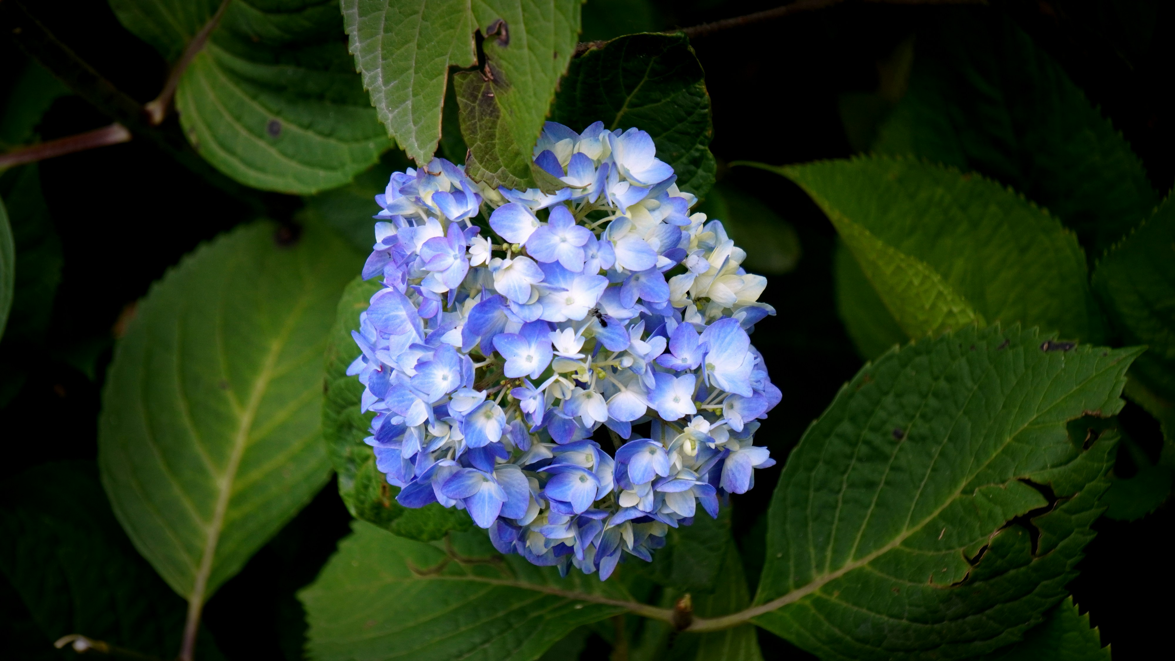 Photo by rishu_bhosale