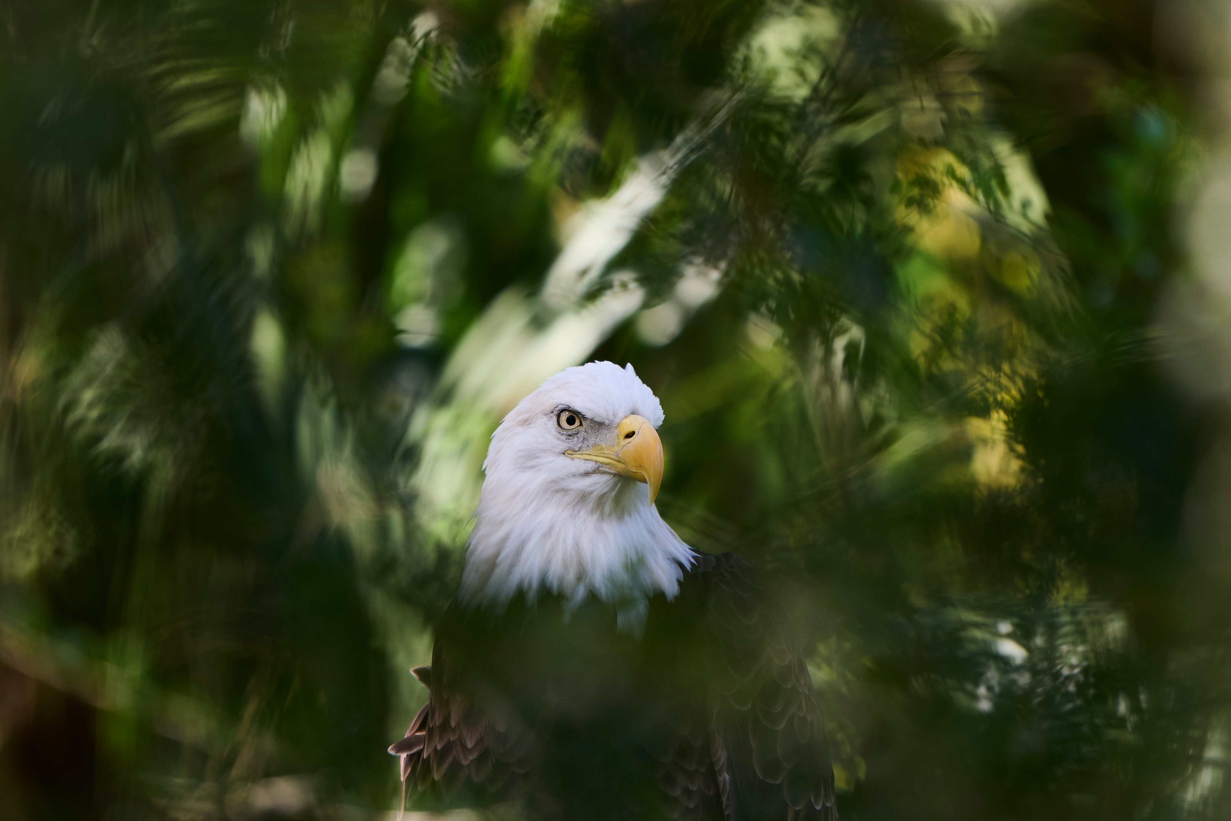 Photo by alekseyryan