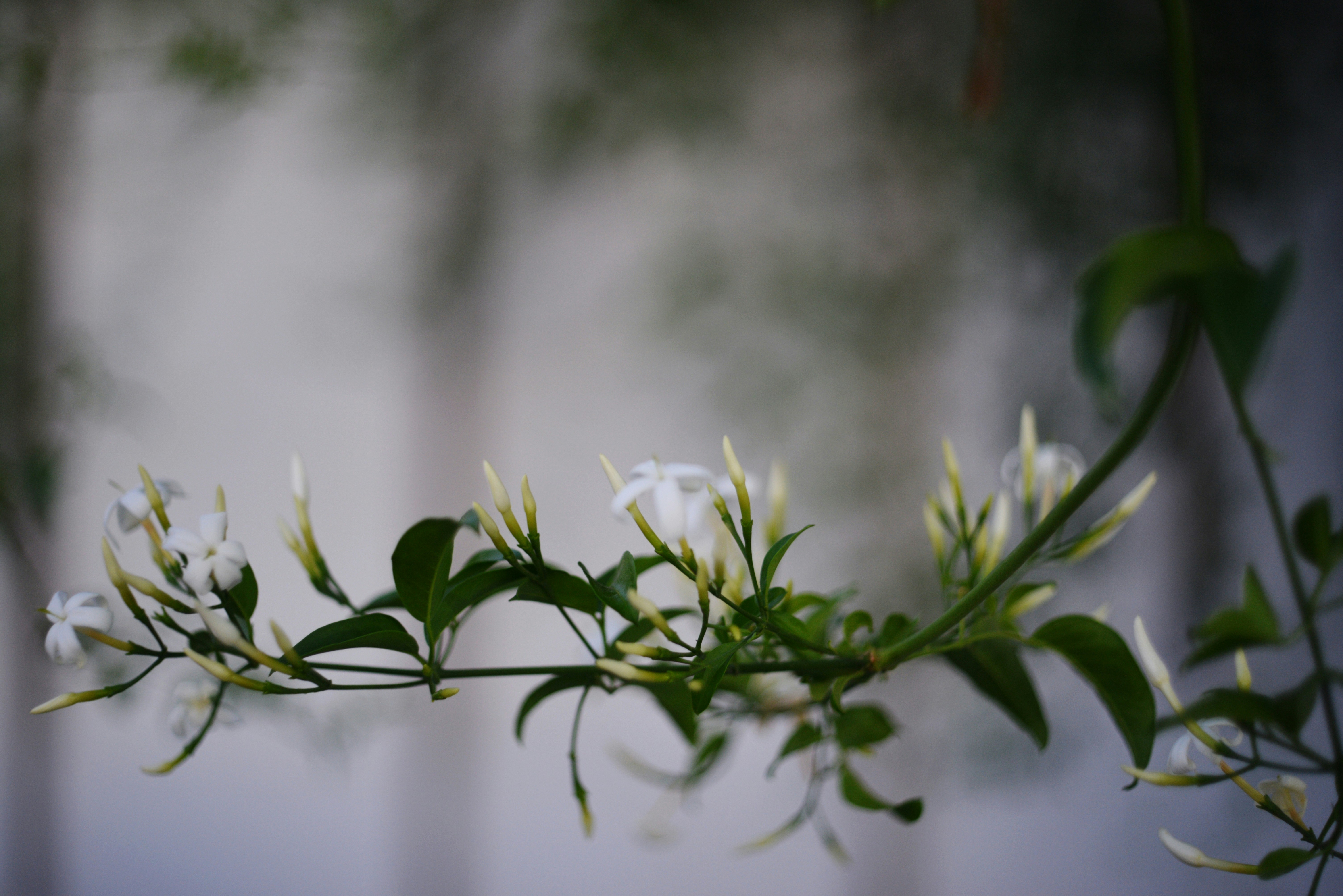 Photo by cherstve_pechivo