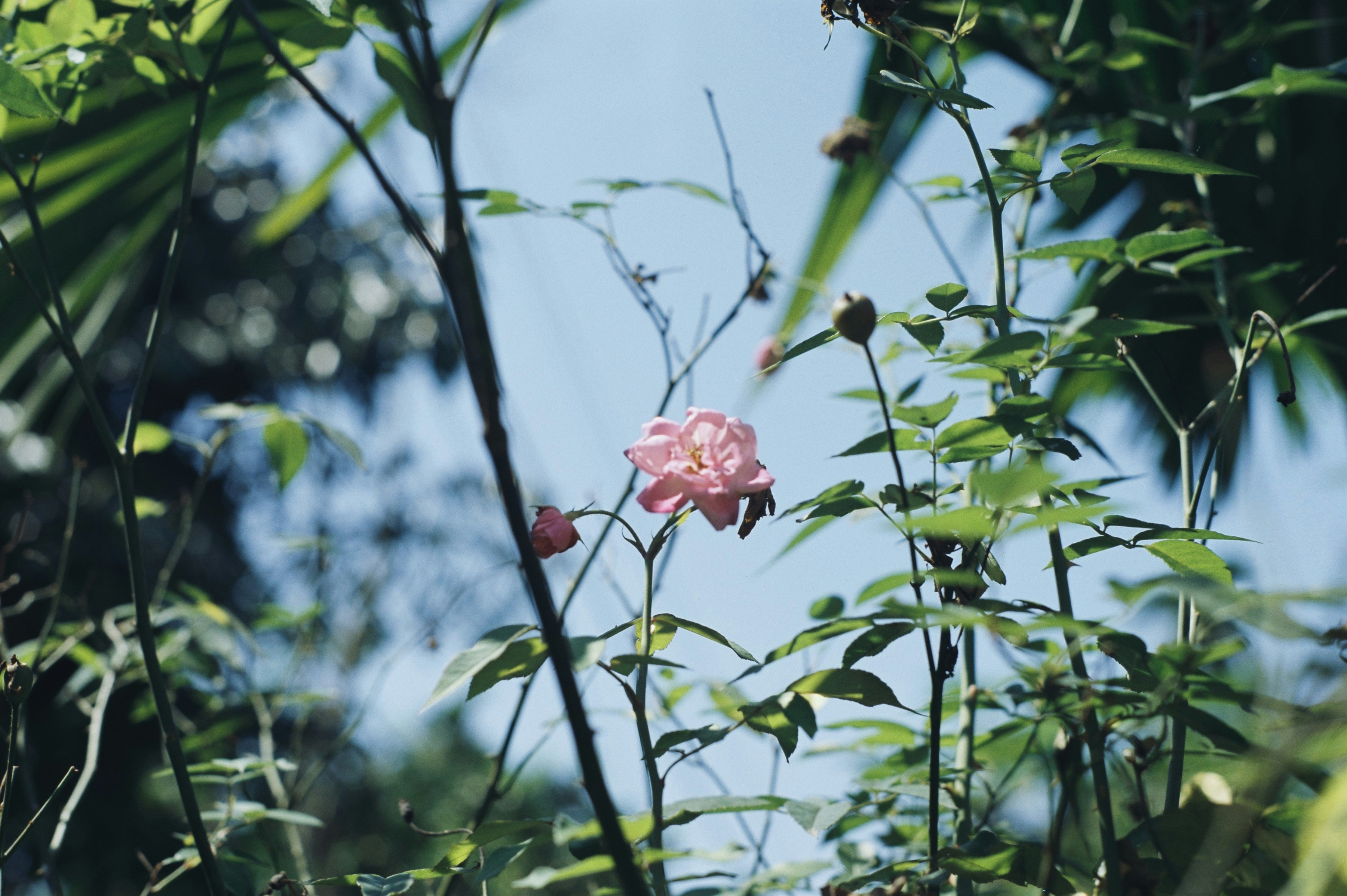 Photo by meomupmofilm