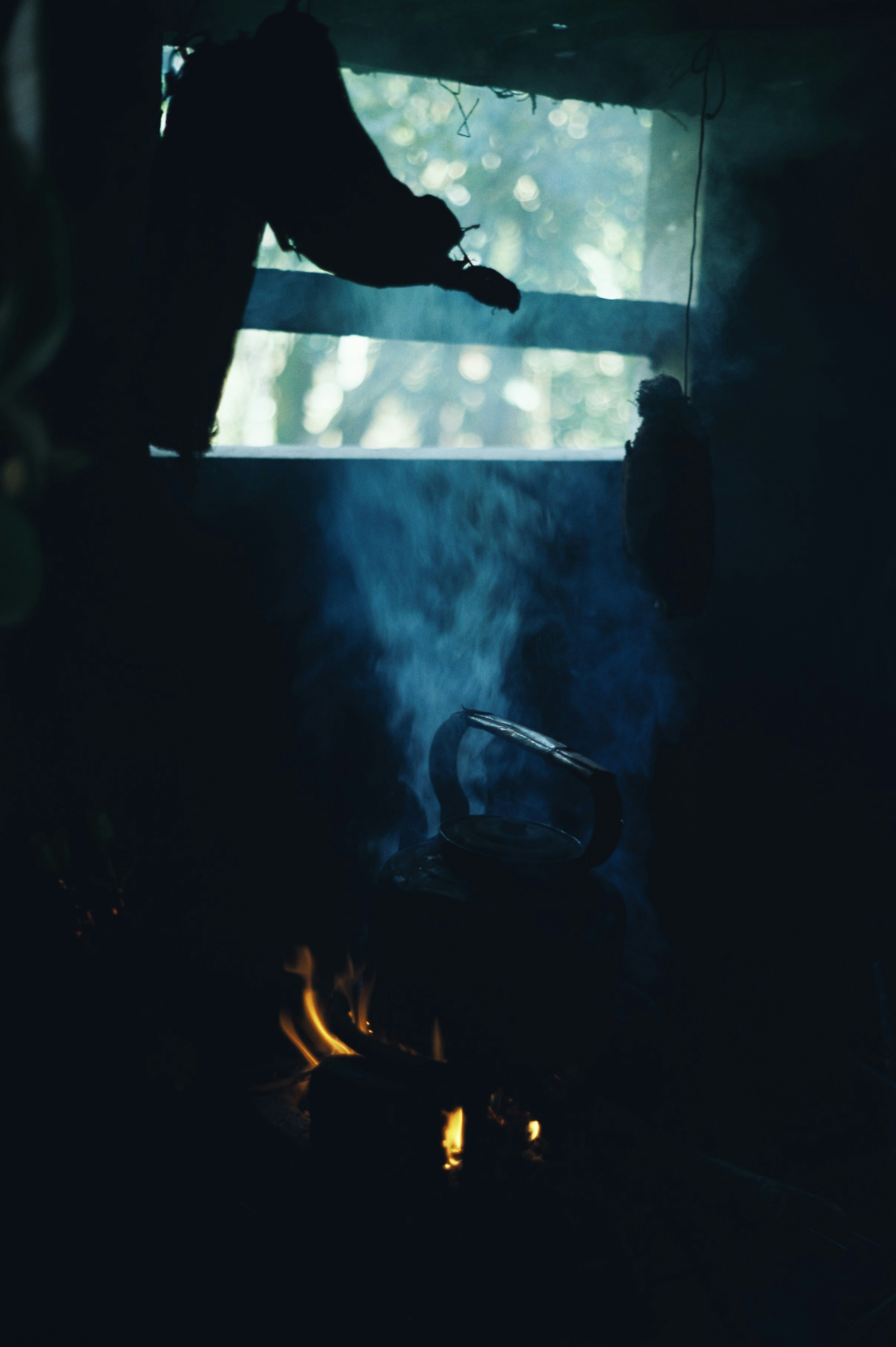 Photo by meomupmofilm