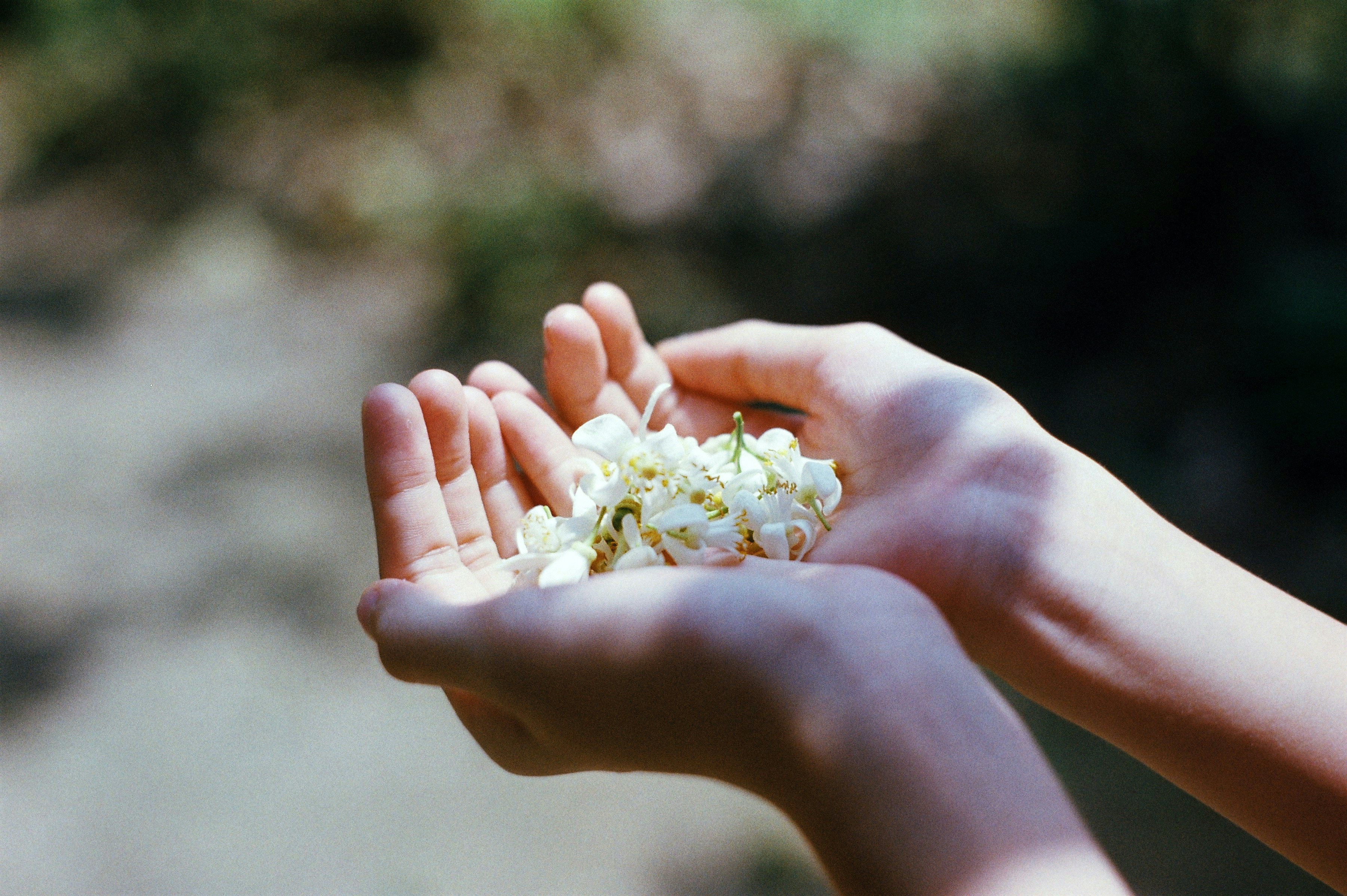 Photo by meomupmofilm