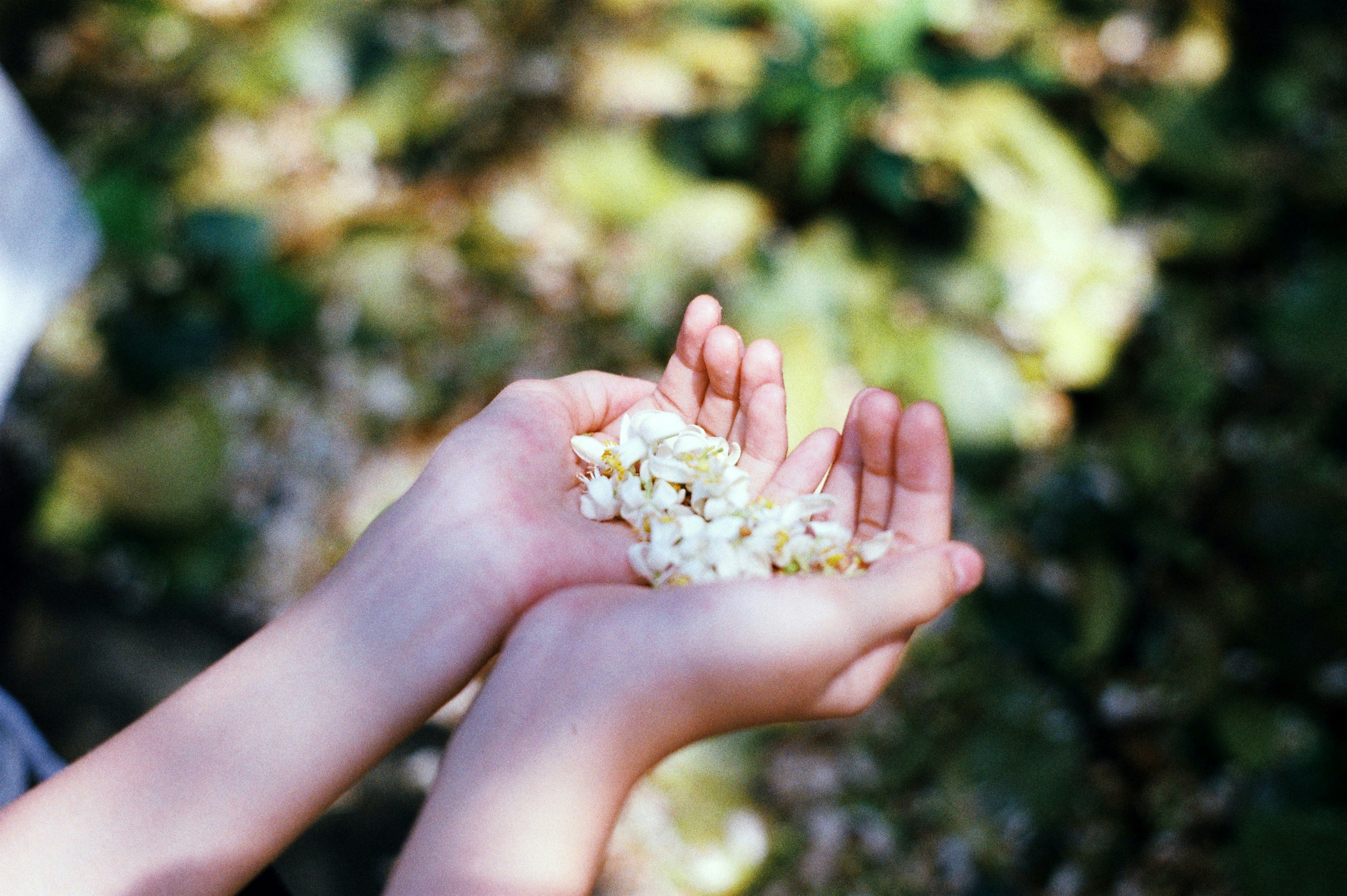 Photo by meomupmofilm