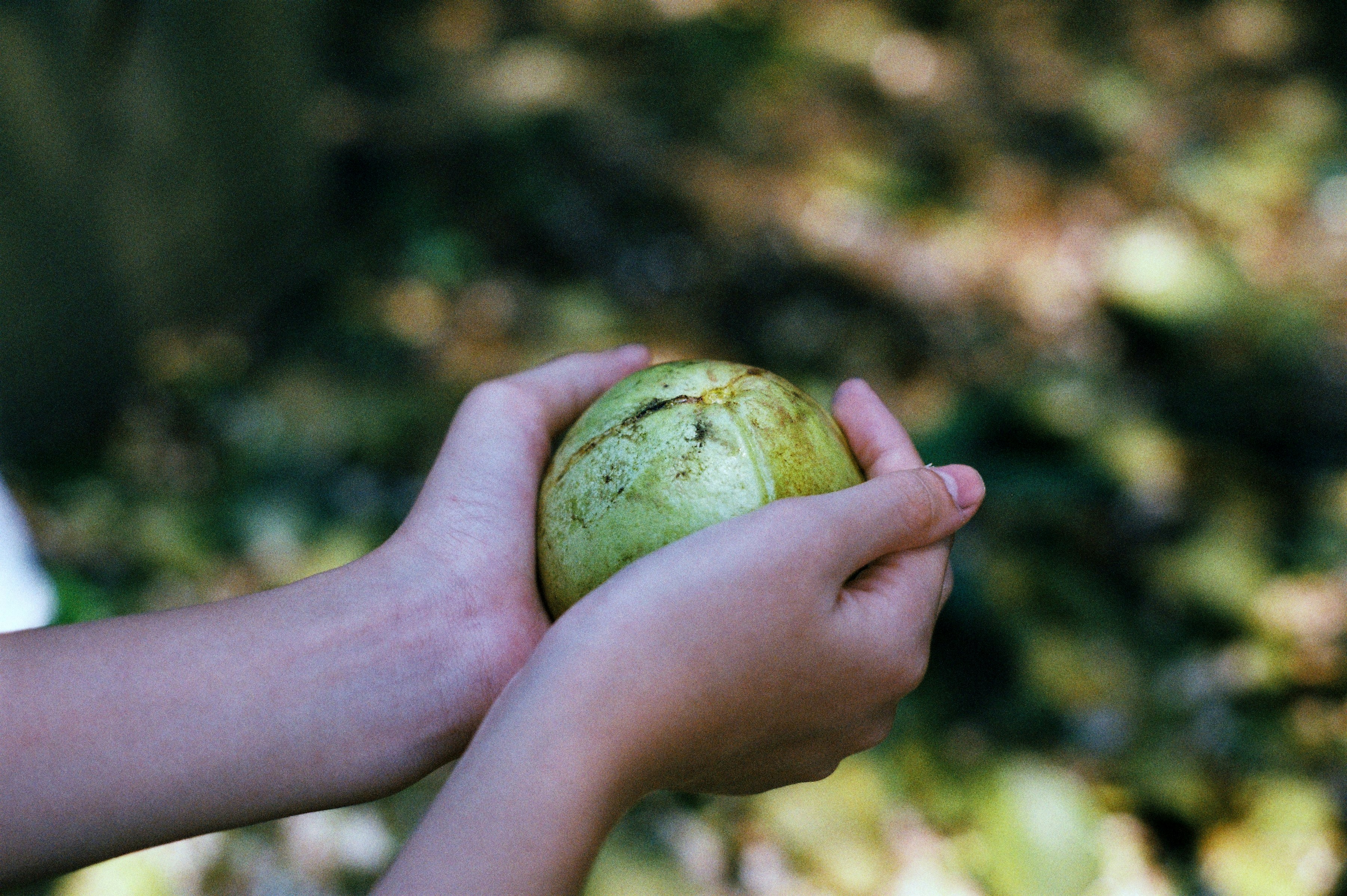 Photo by meomupmofilm