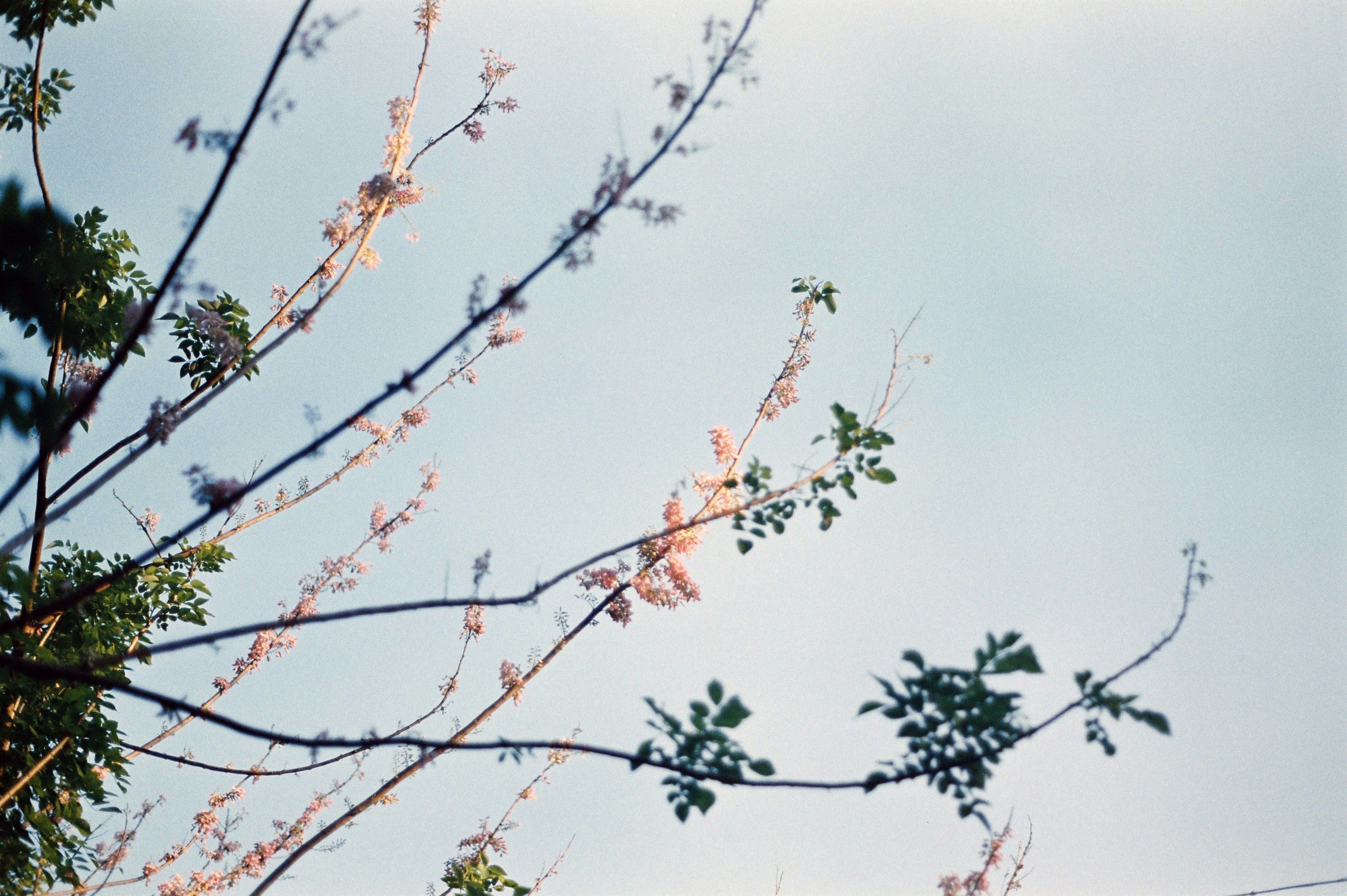 Photo by meomupmofilm