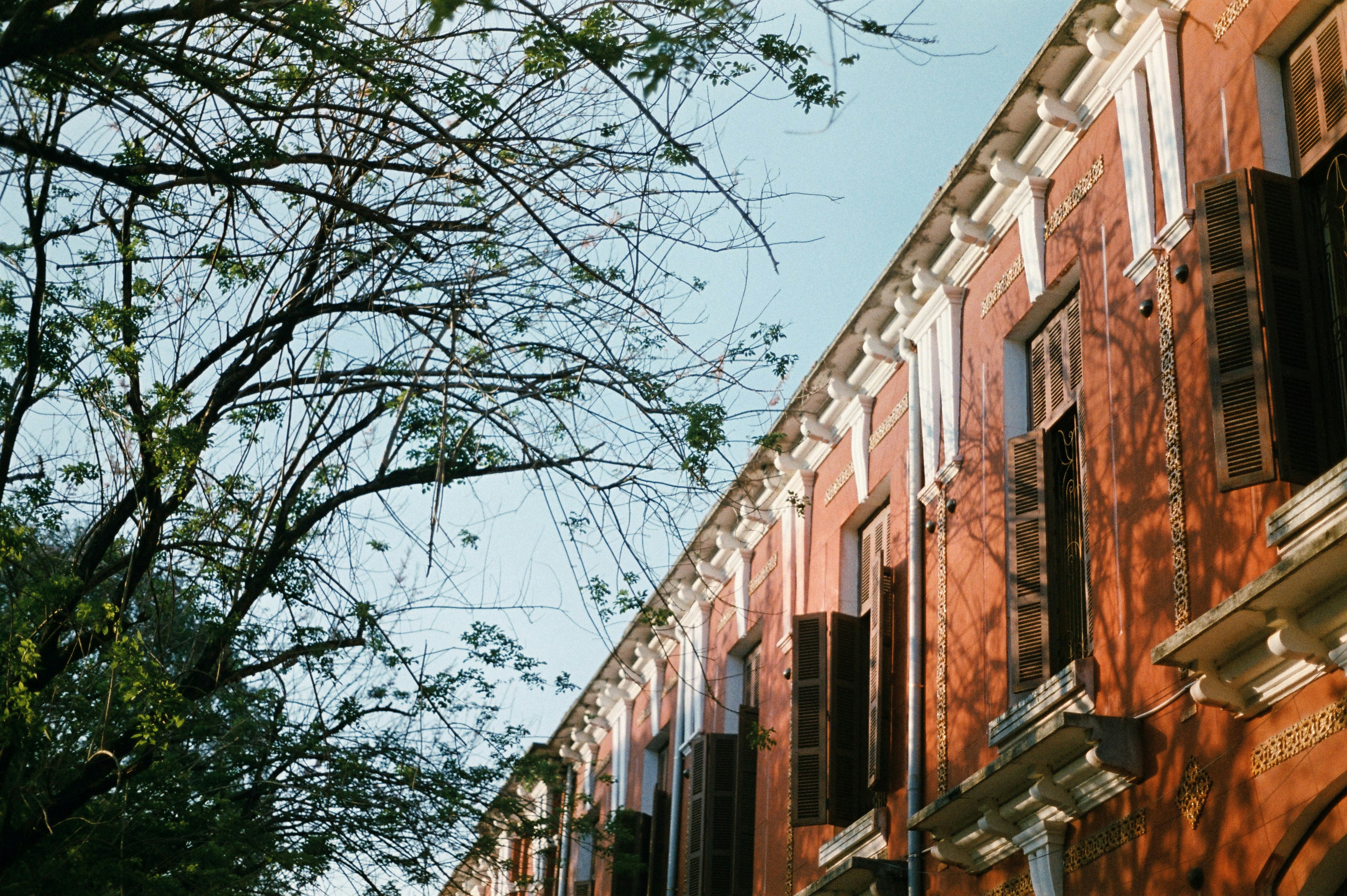 Photo by meomupmofilm