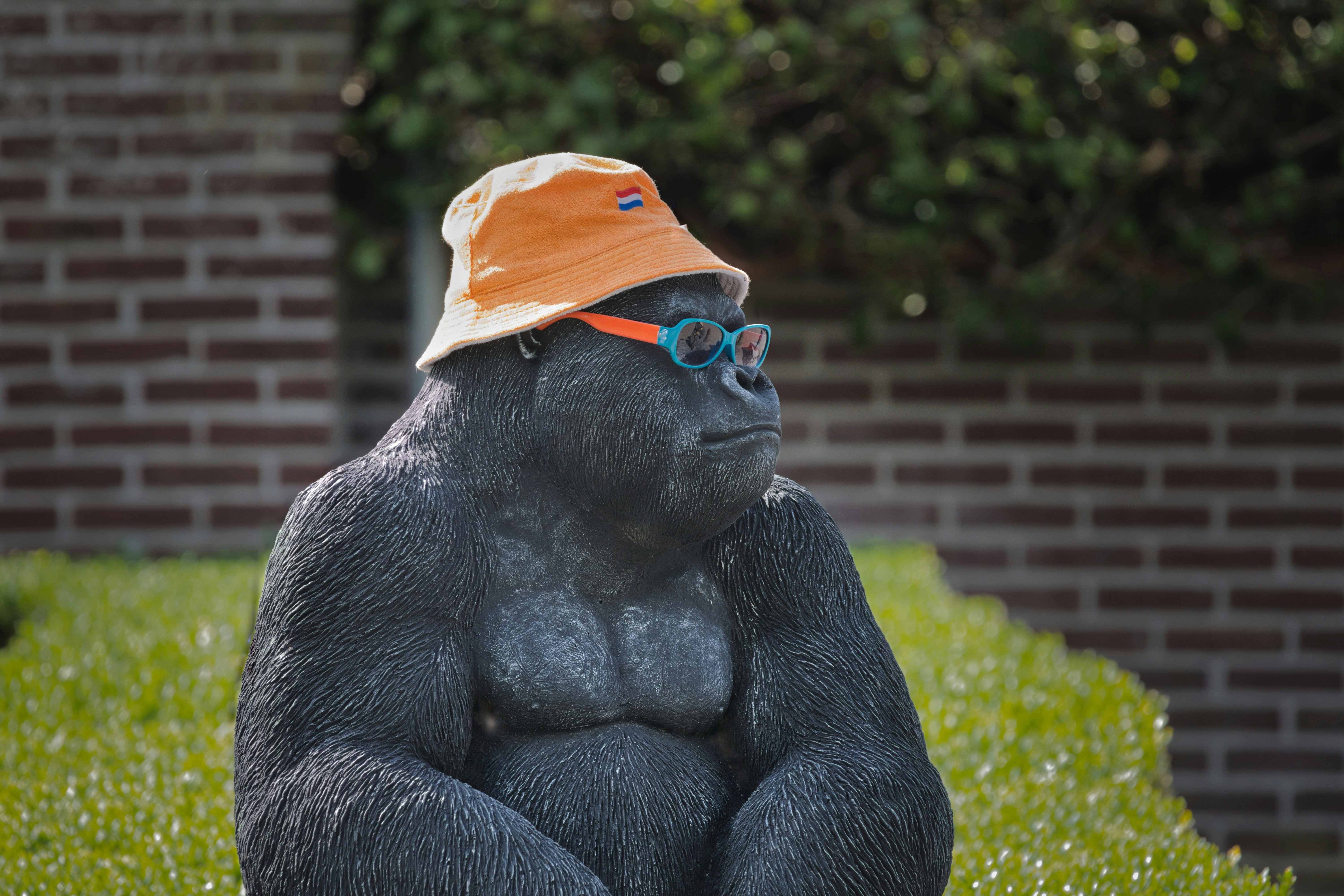 Gorilla statue wears hat and sunglasses