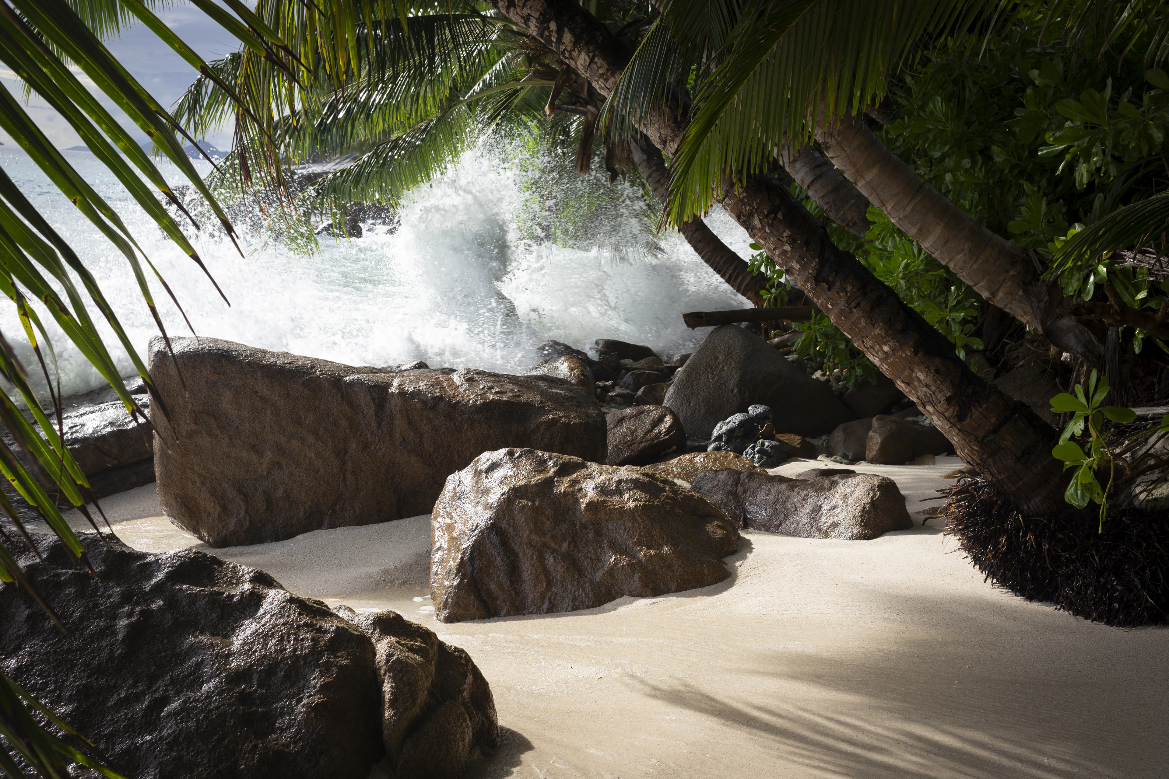 Palm trees frame giant granite boulders as a wave breaks on a tropical beach.