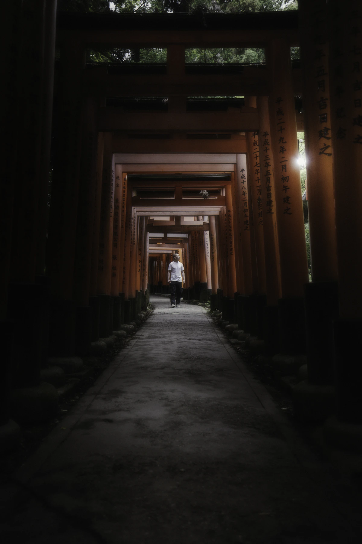 Fushimi Inari misty morning torii gates atmosphere