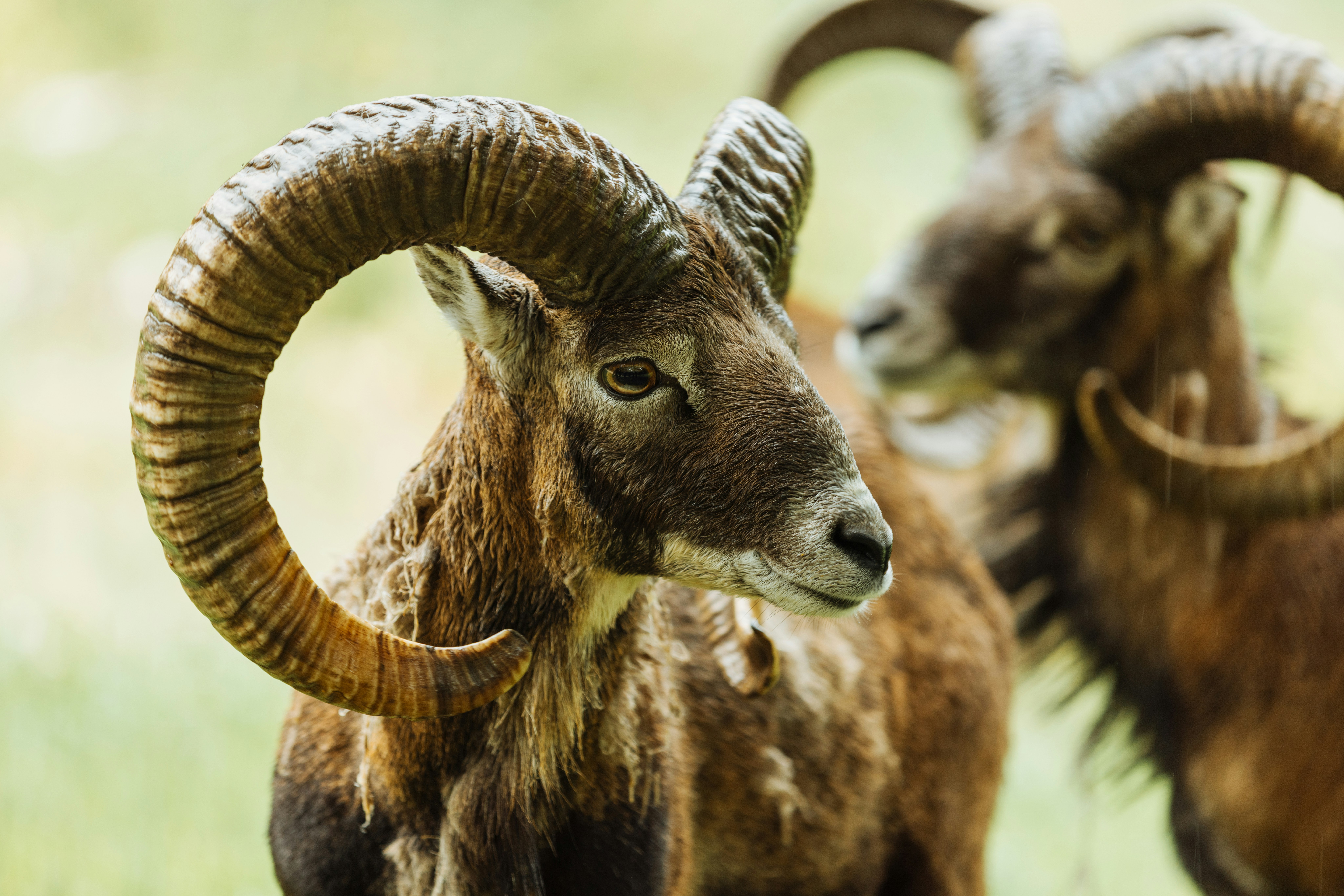 MarkHoor: Your Ultimate Guide