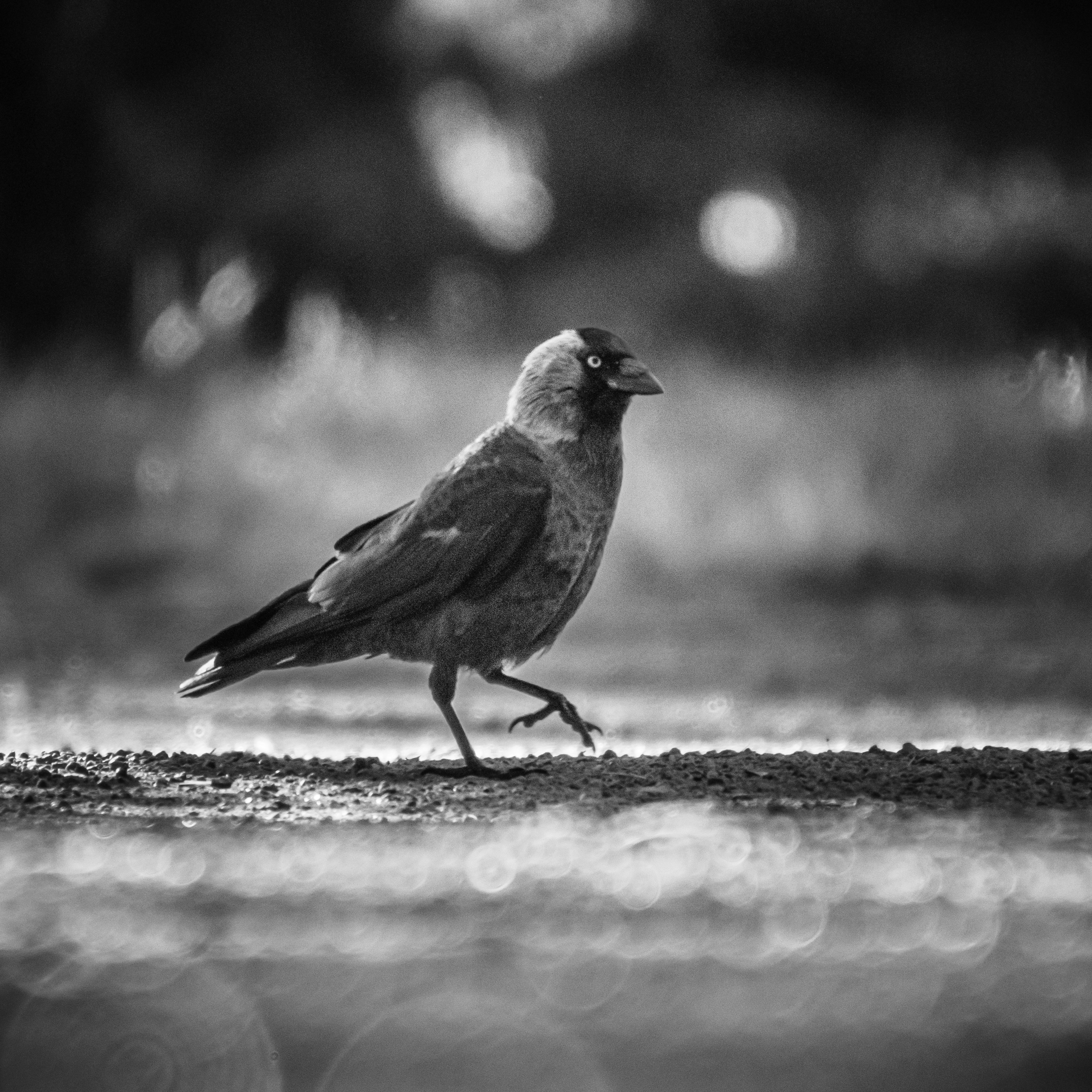 Photo by juho_aleksi_luomala