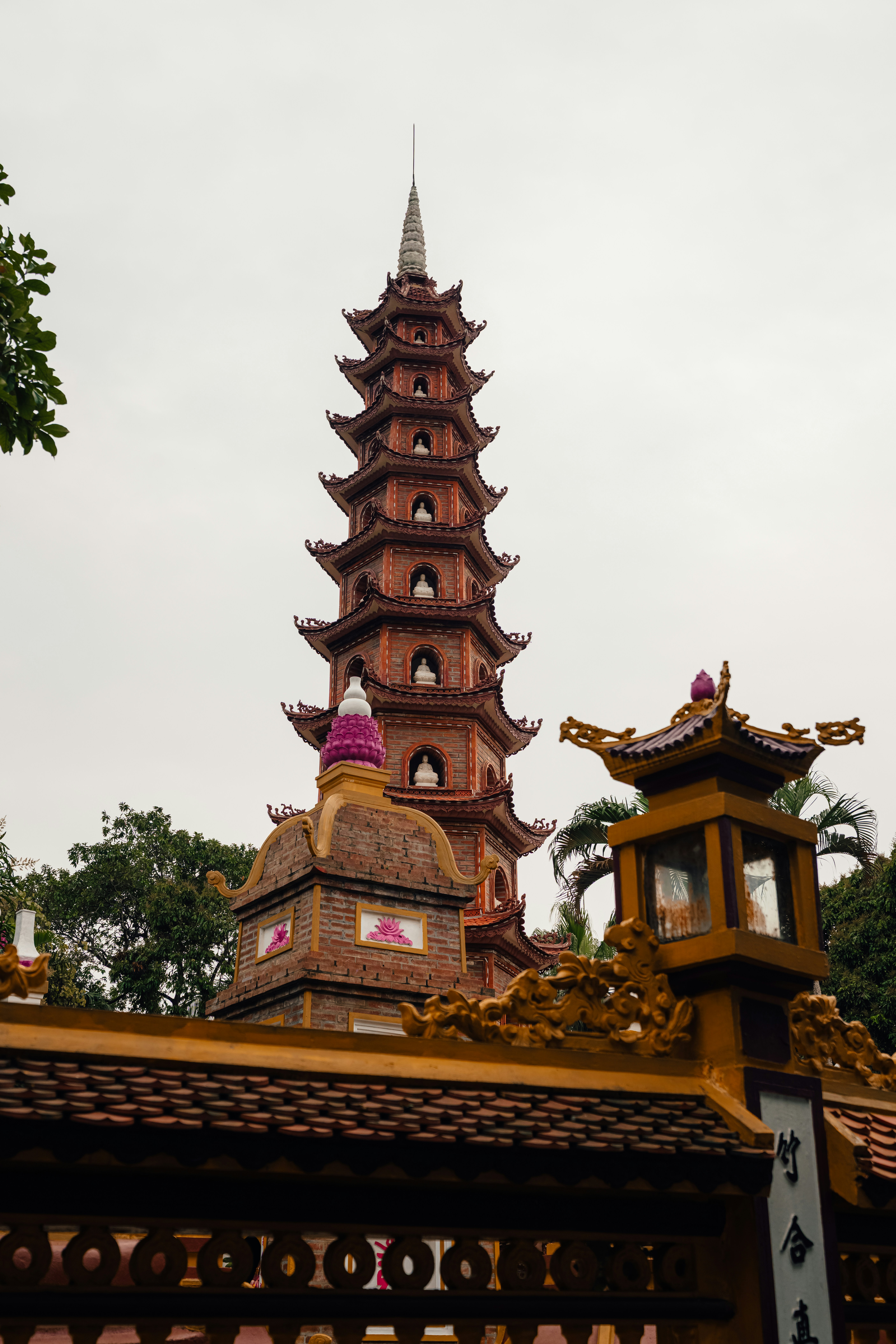 Photo by limamauro23