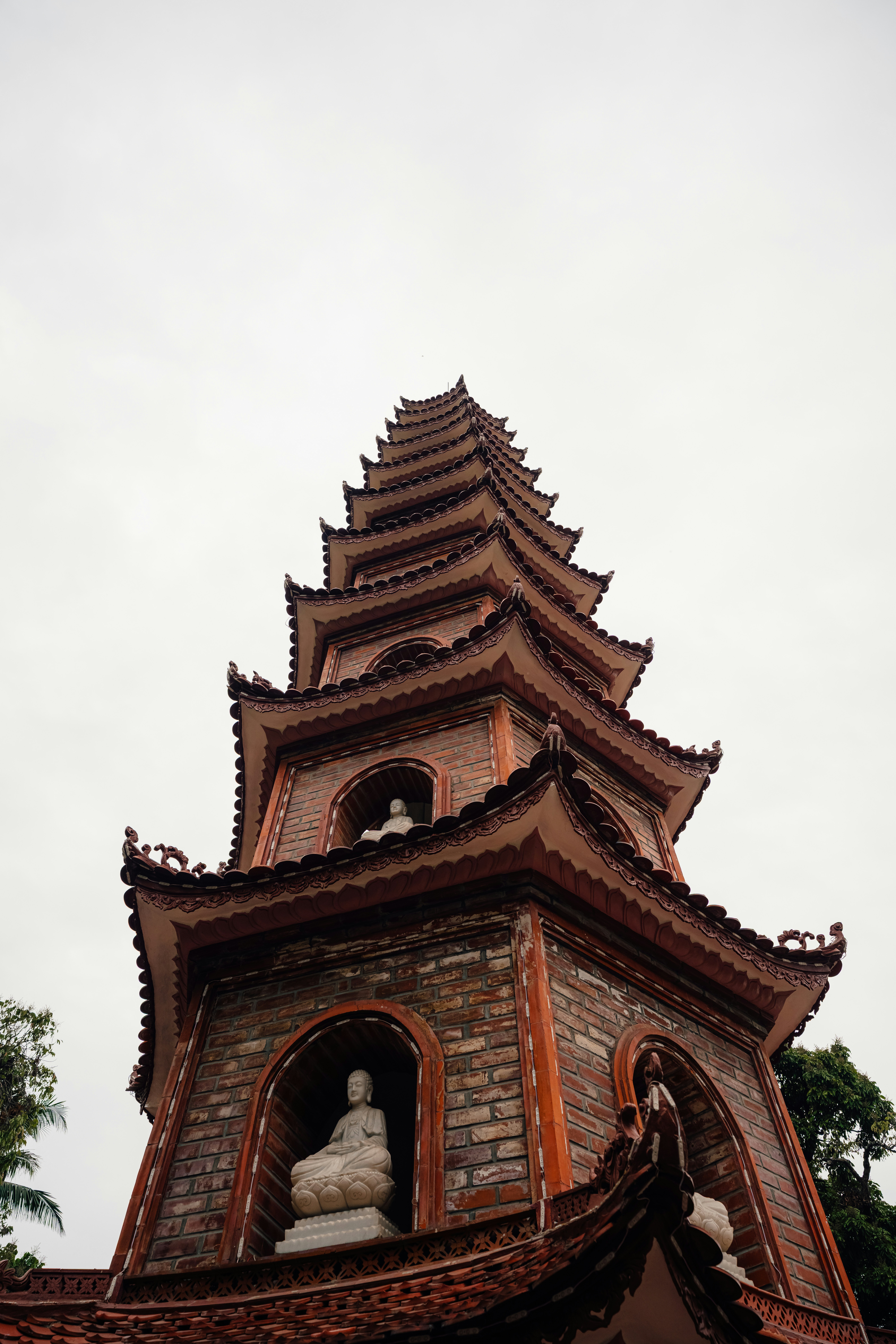 Photo by limamauro23