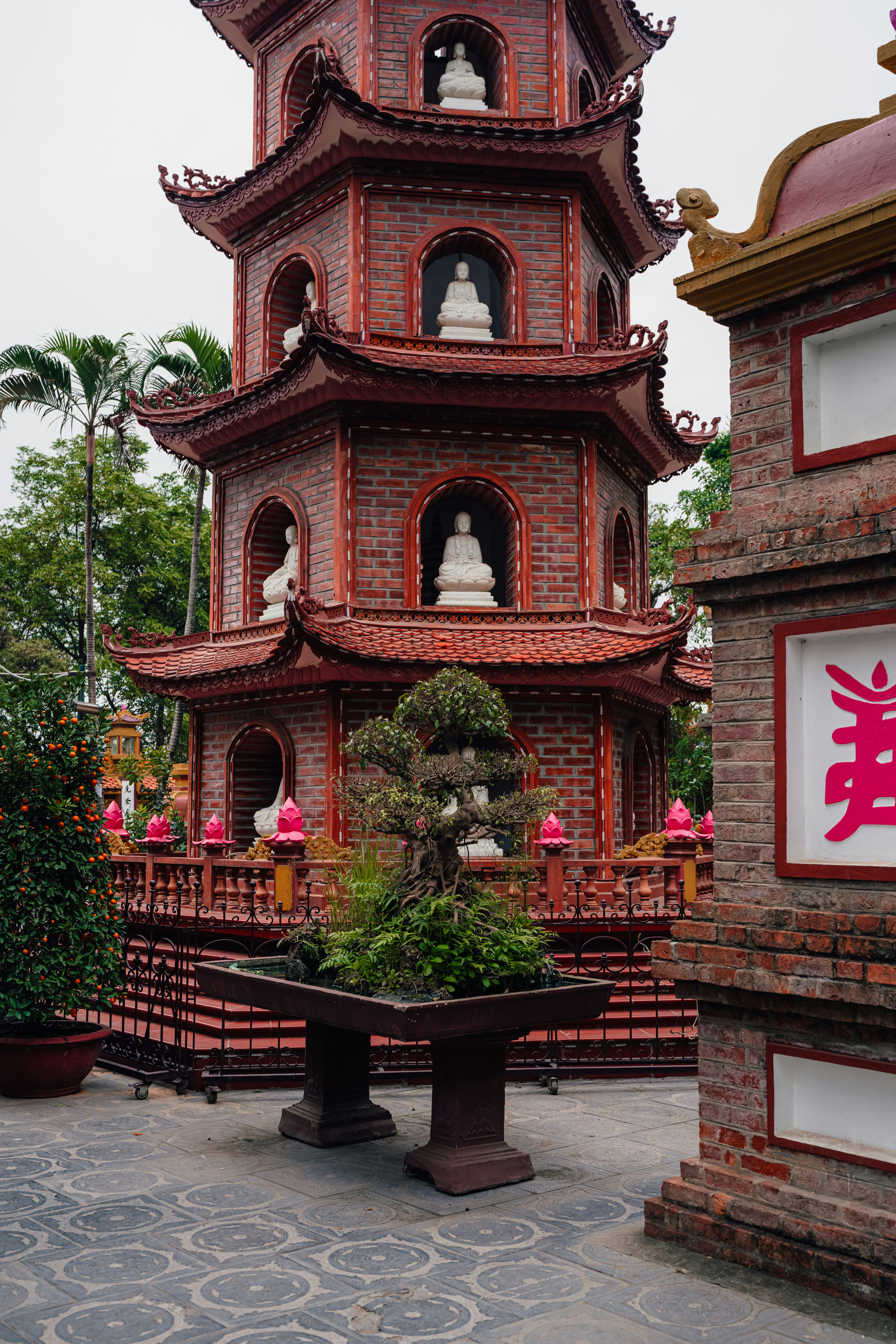 Photo by limamauro23