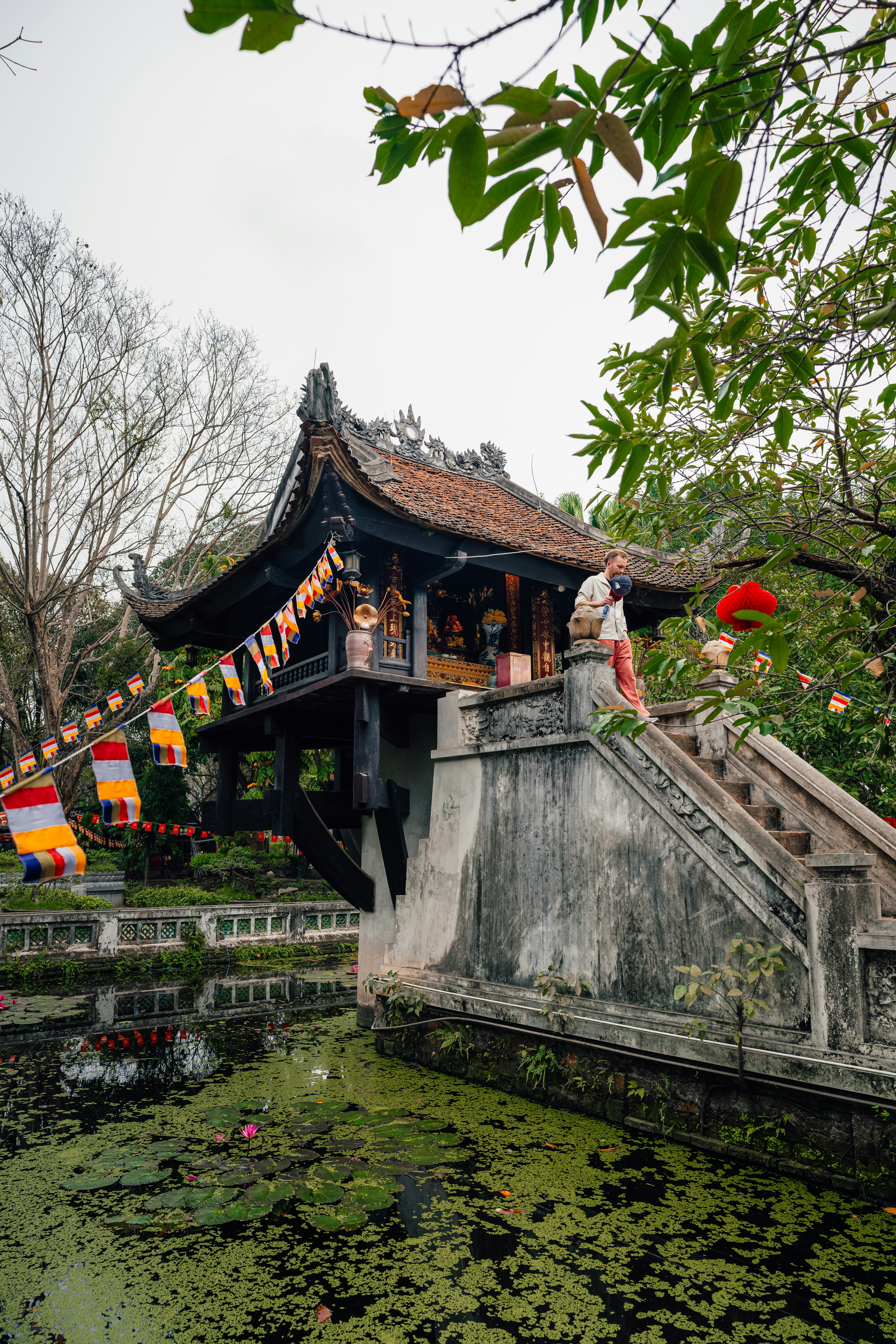 Photo by limamauro23