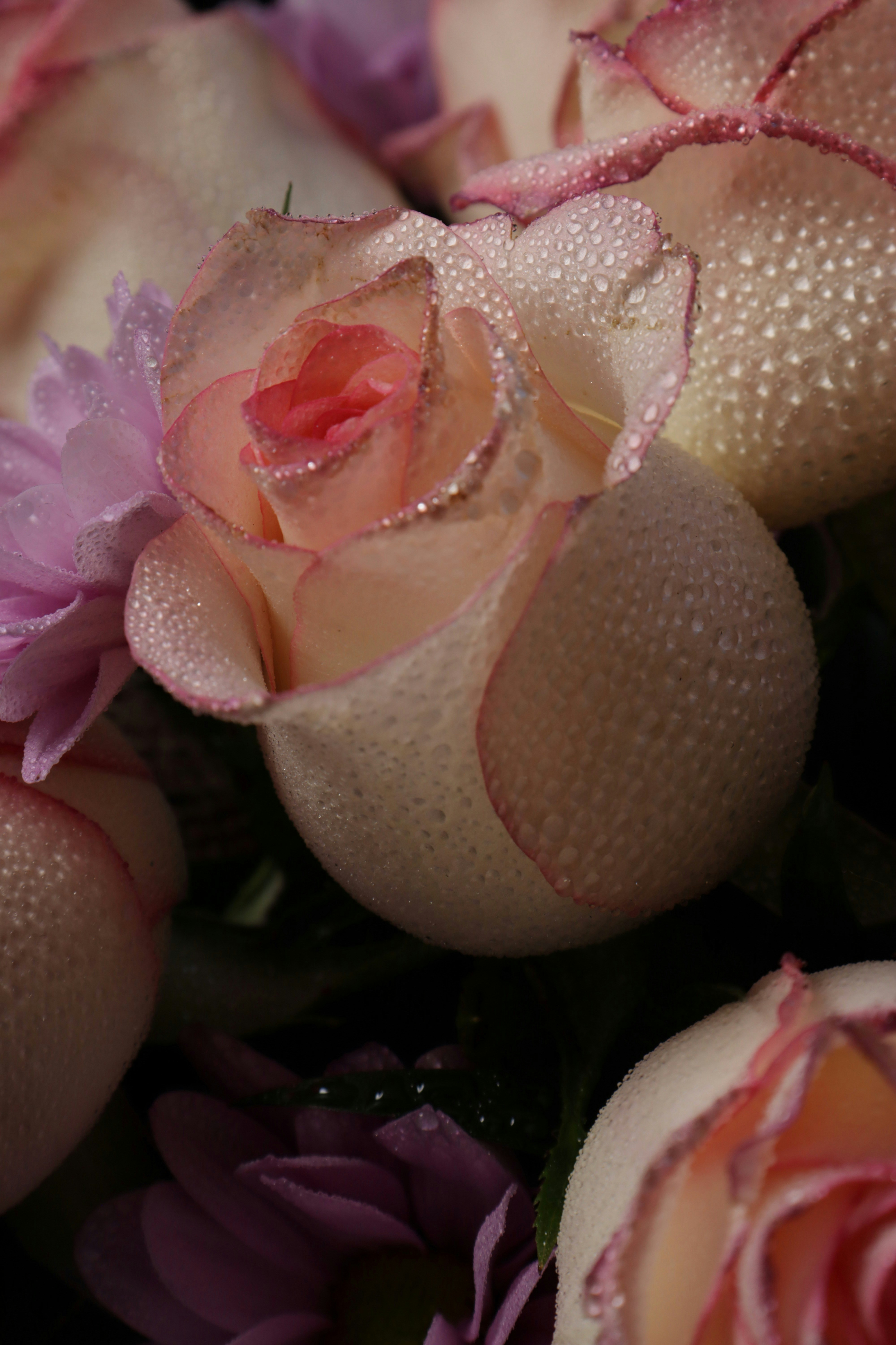 Photo by bored_mongoose