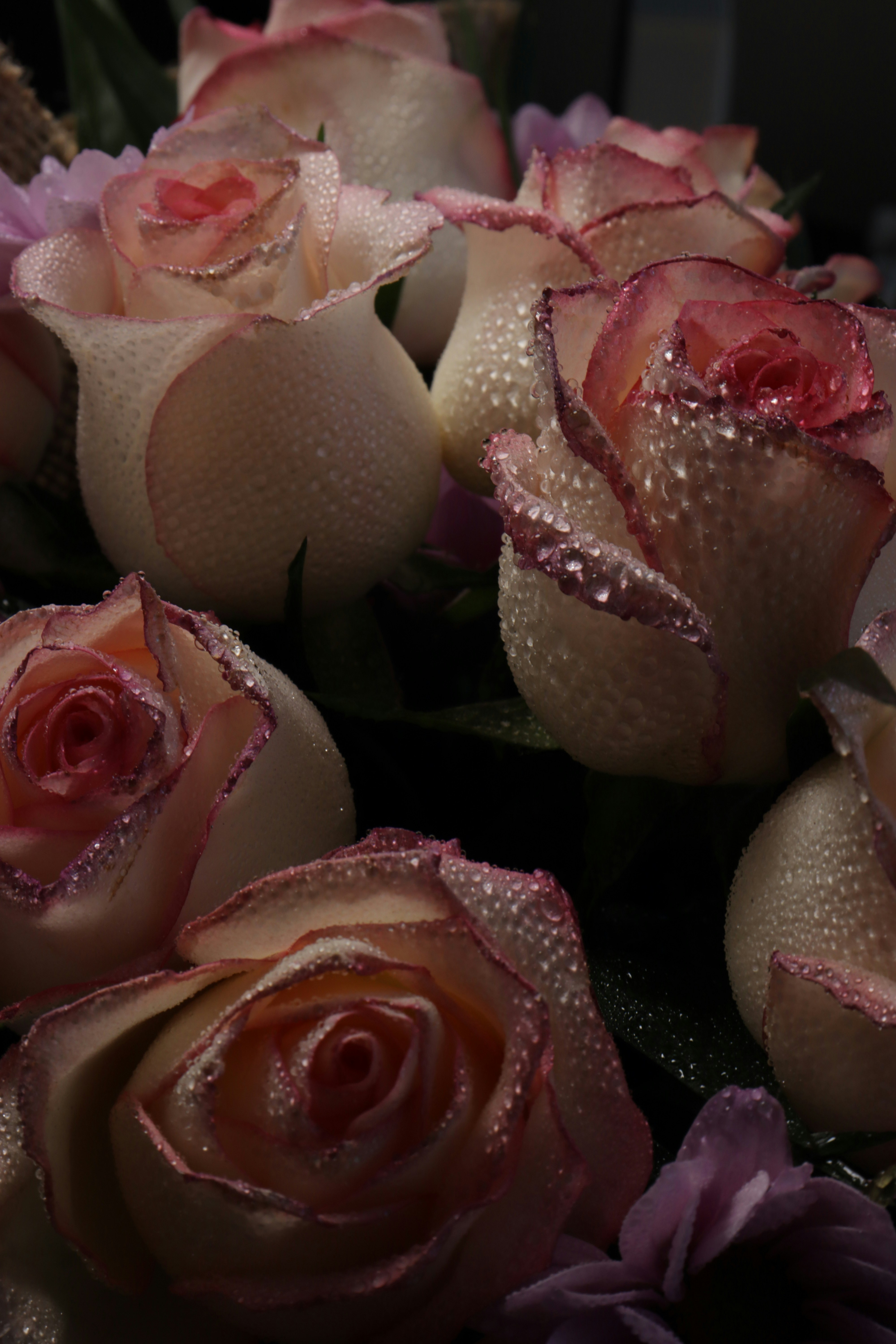 Photo by bored_mongoose