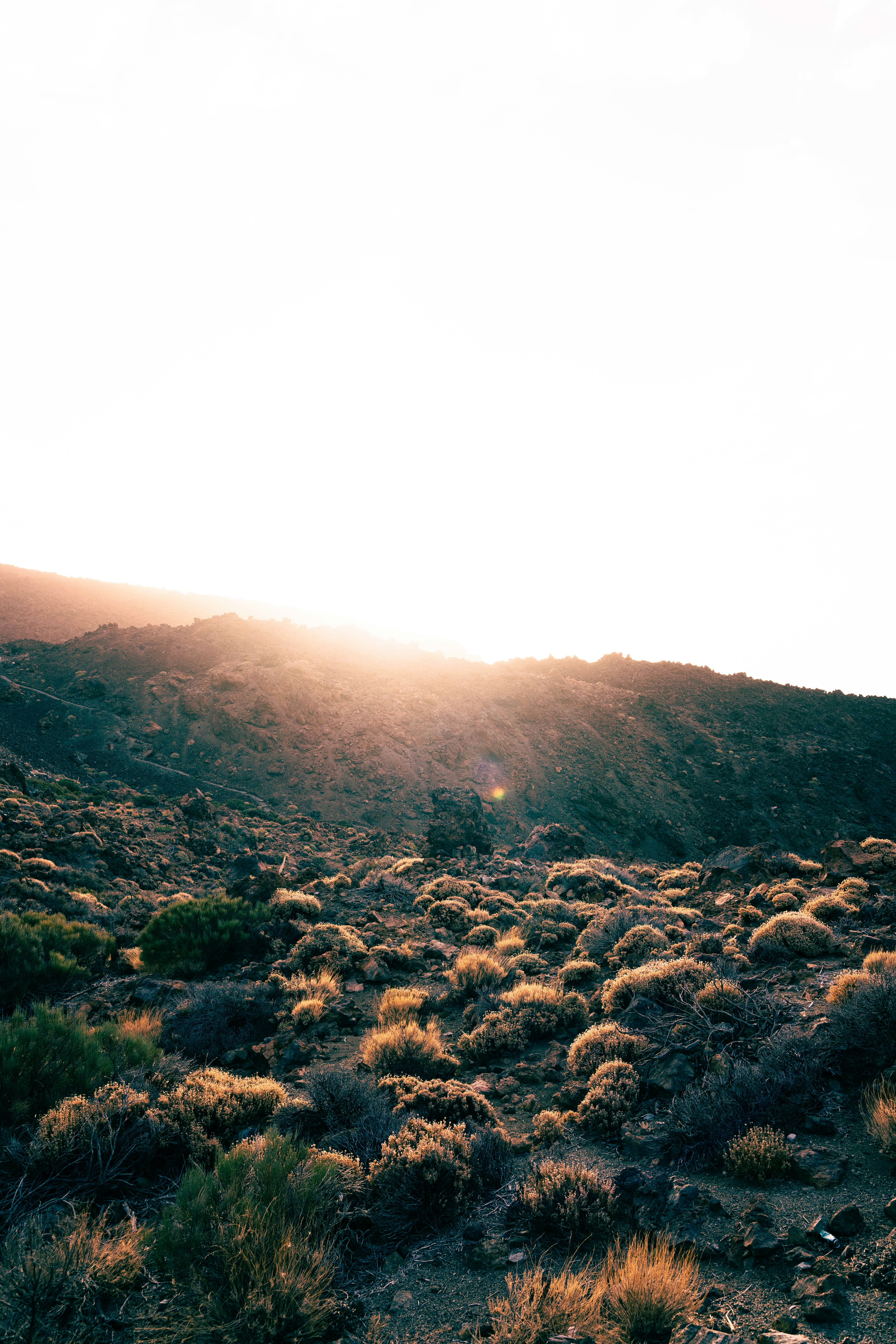 Photo by jonasdegener