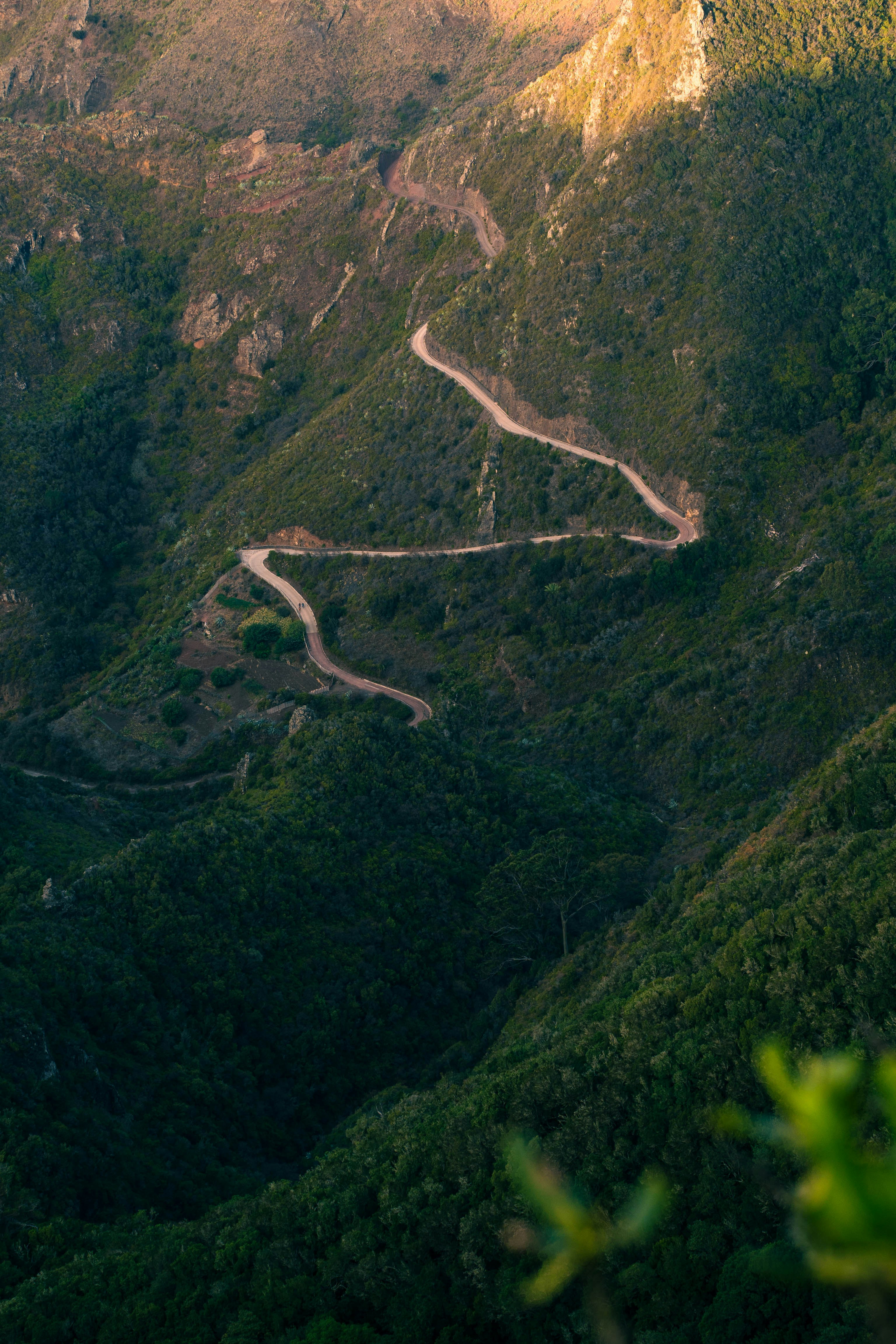 Photo by jonasdegener