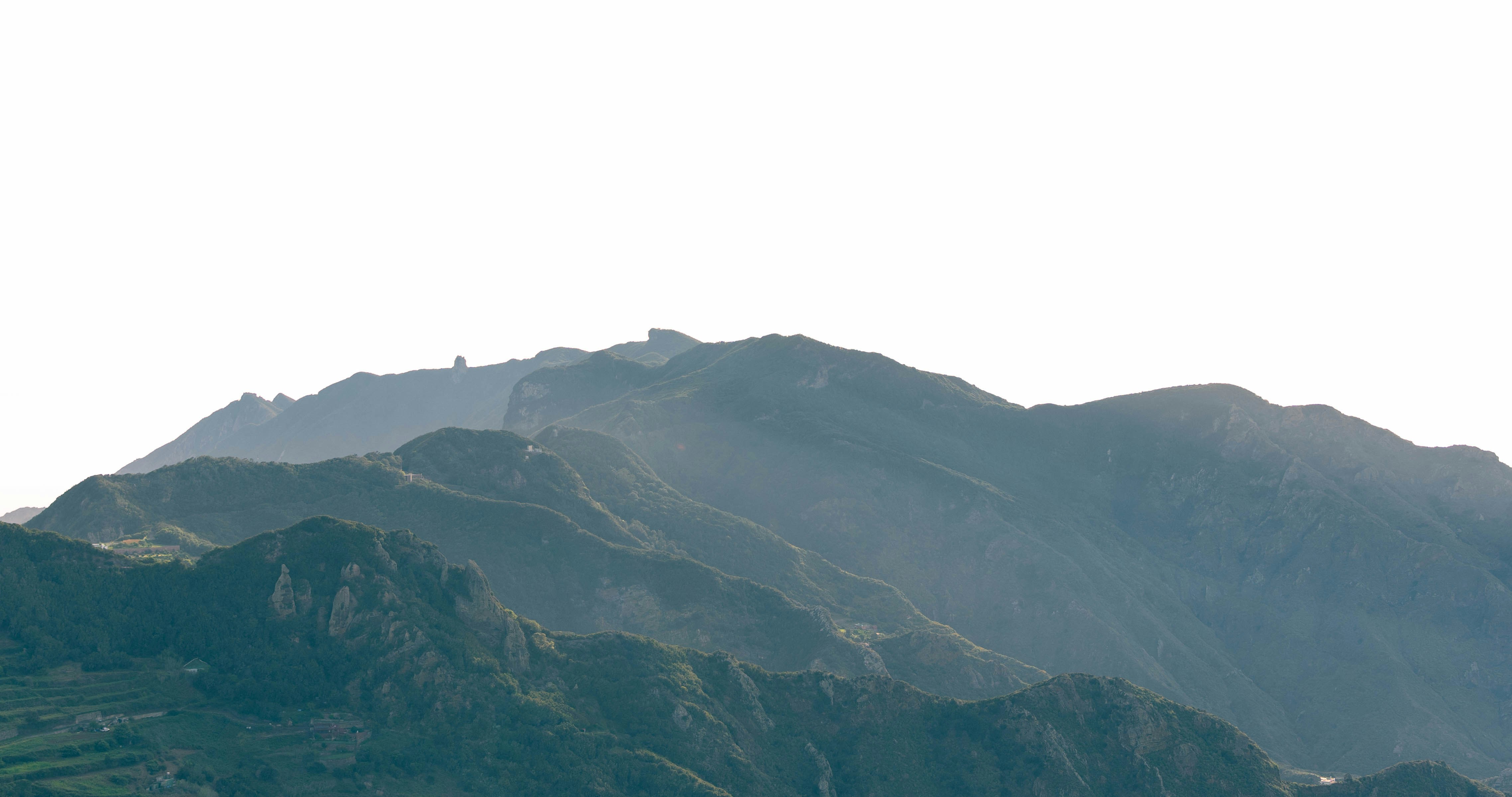 Photo by jonasdegener