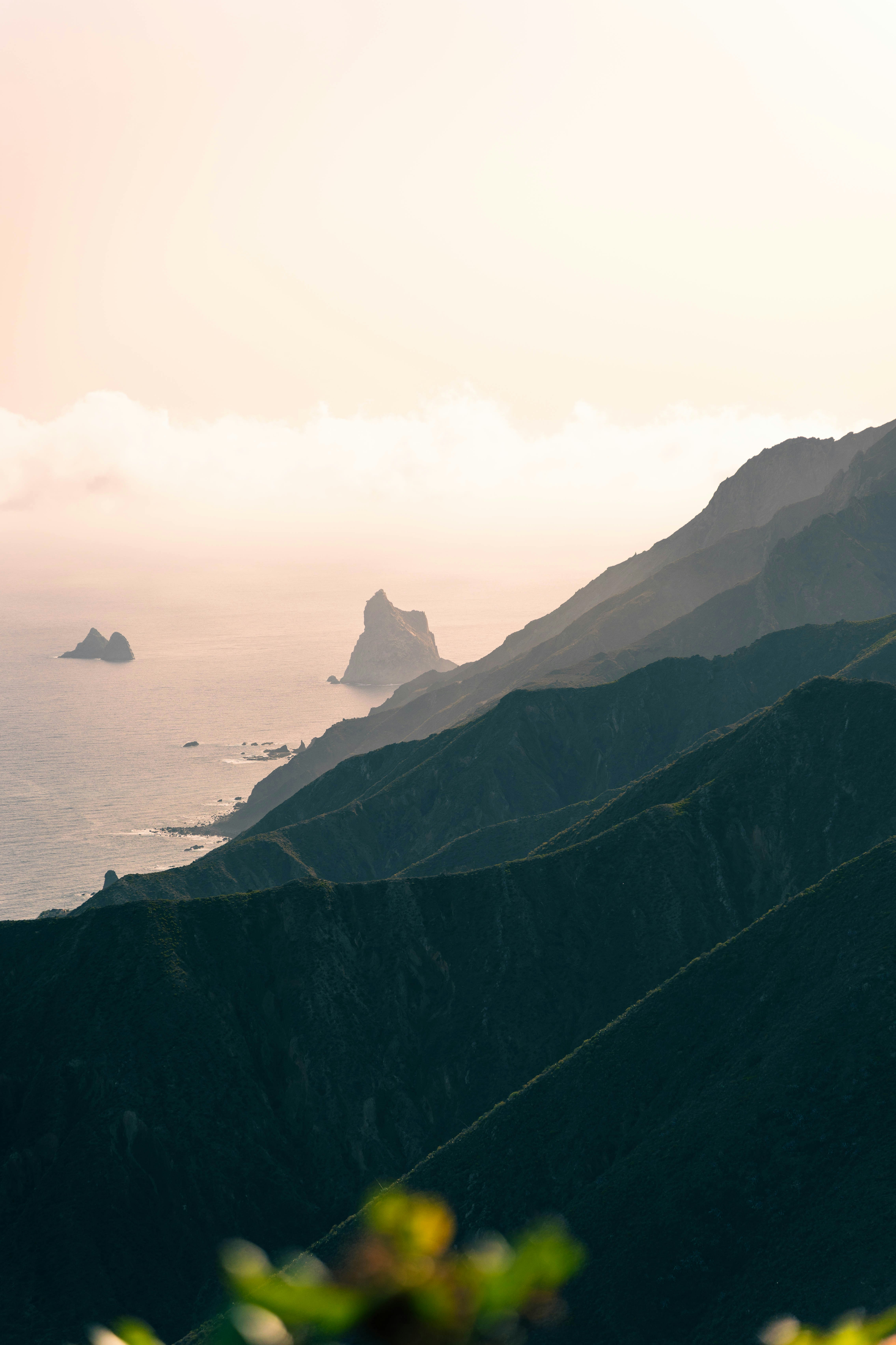 Photo by jonasdegener