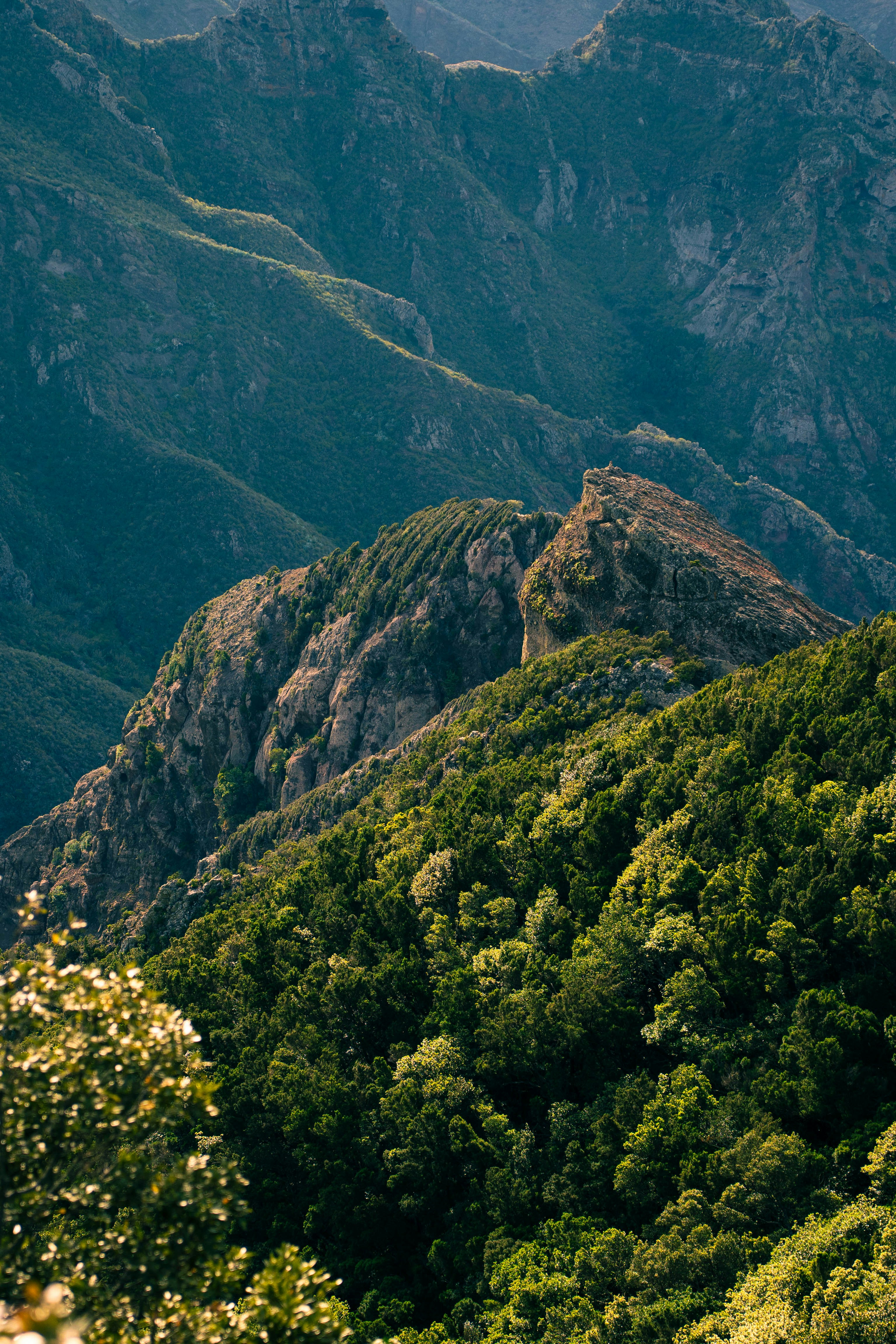 Photo by jonasdegener