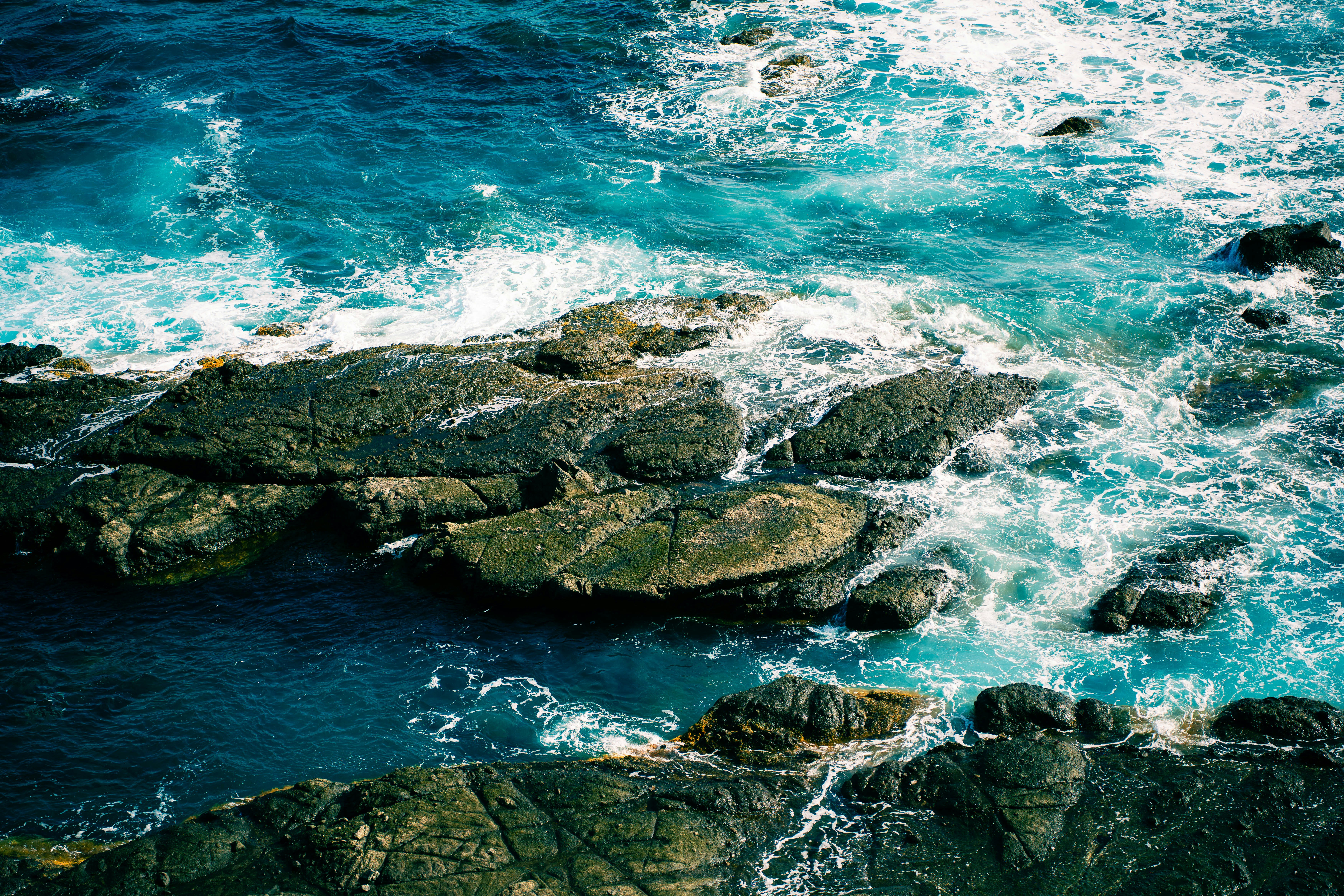 Photo by jonasdegener