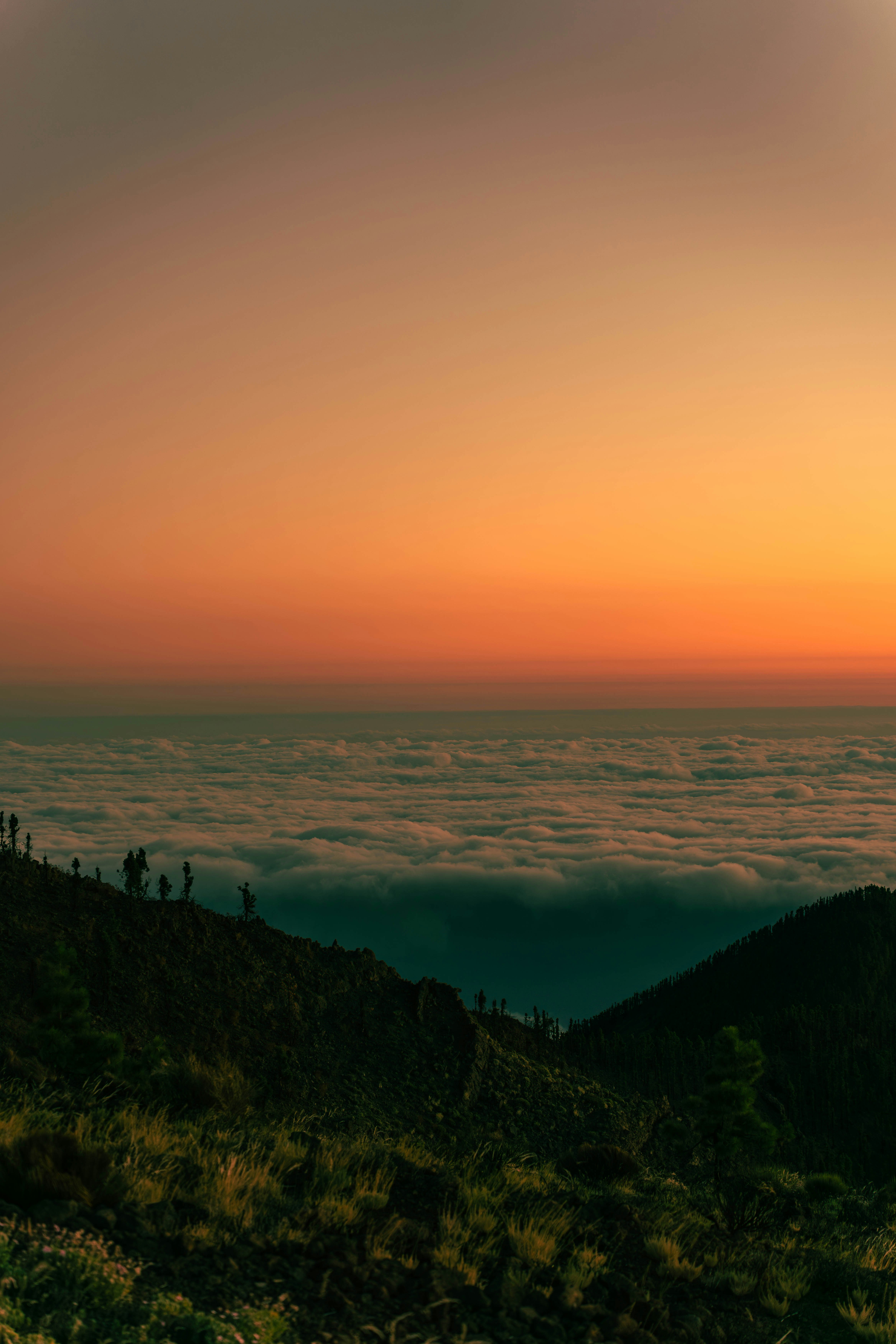 Photo by jonasdegener