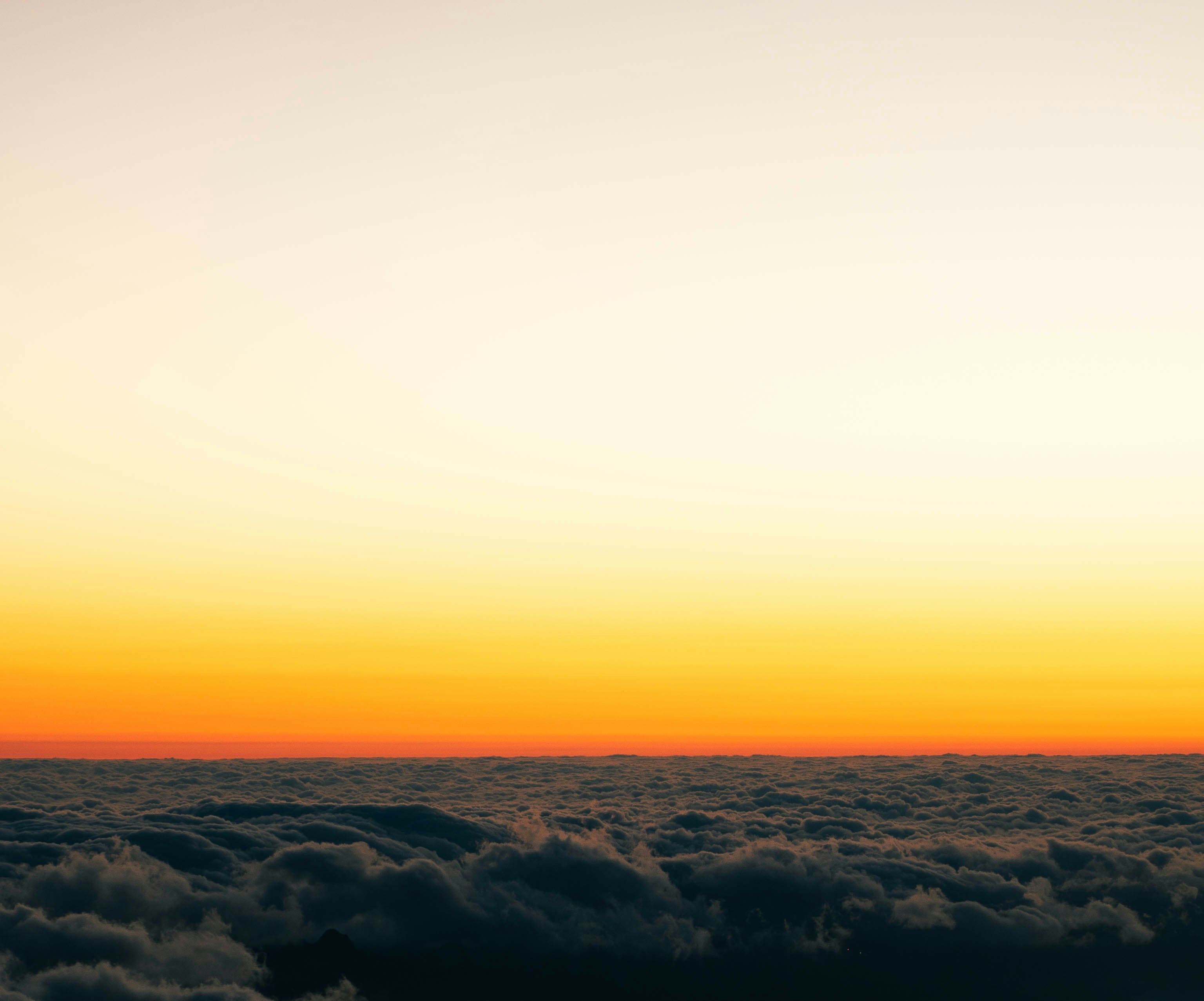 Photo by jonasdegener