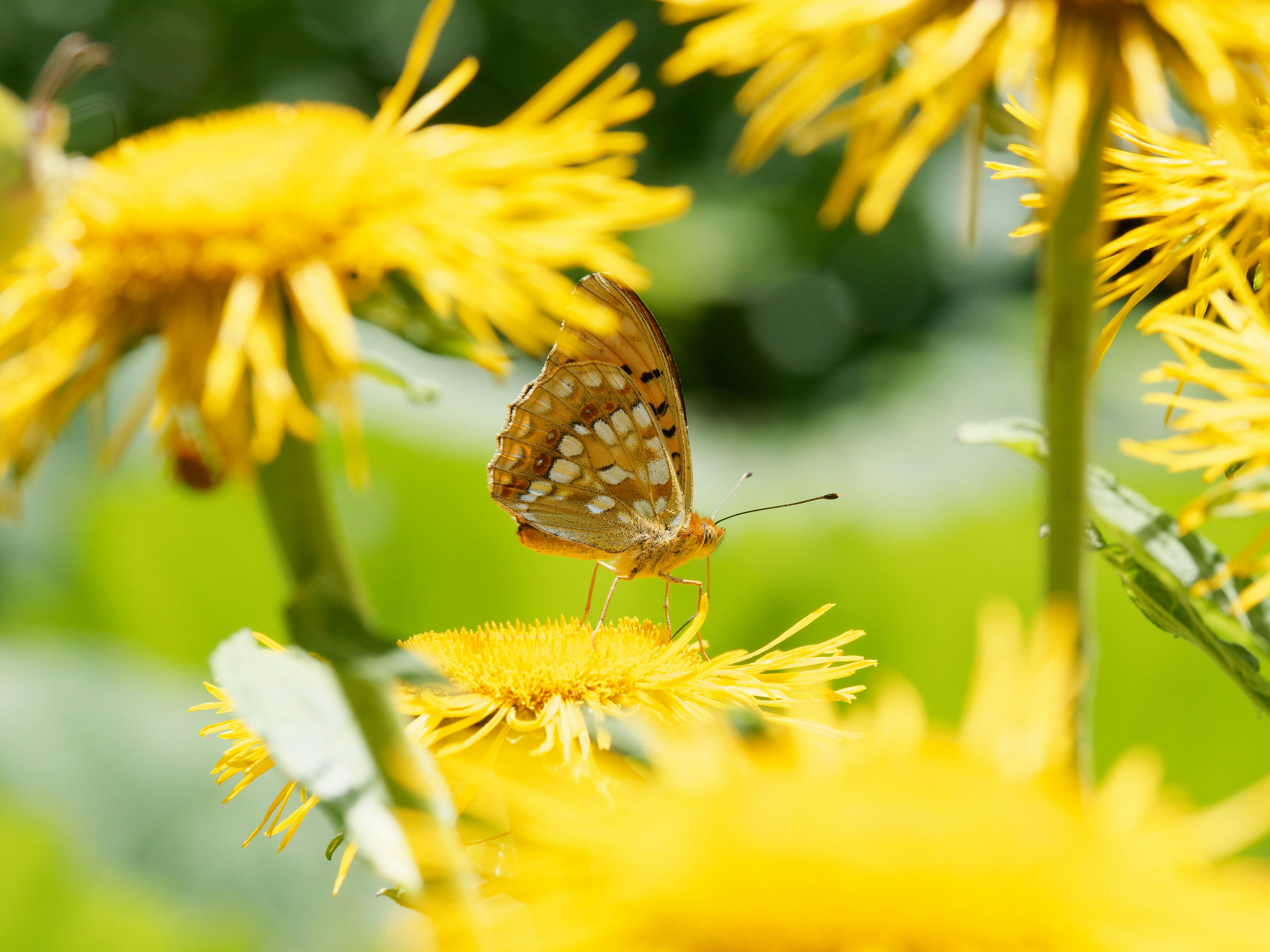 Photo by illes_cristi