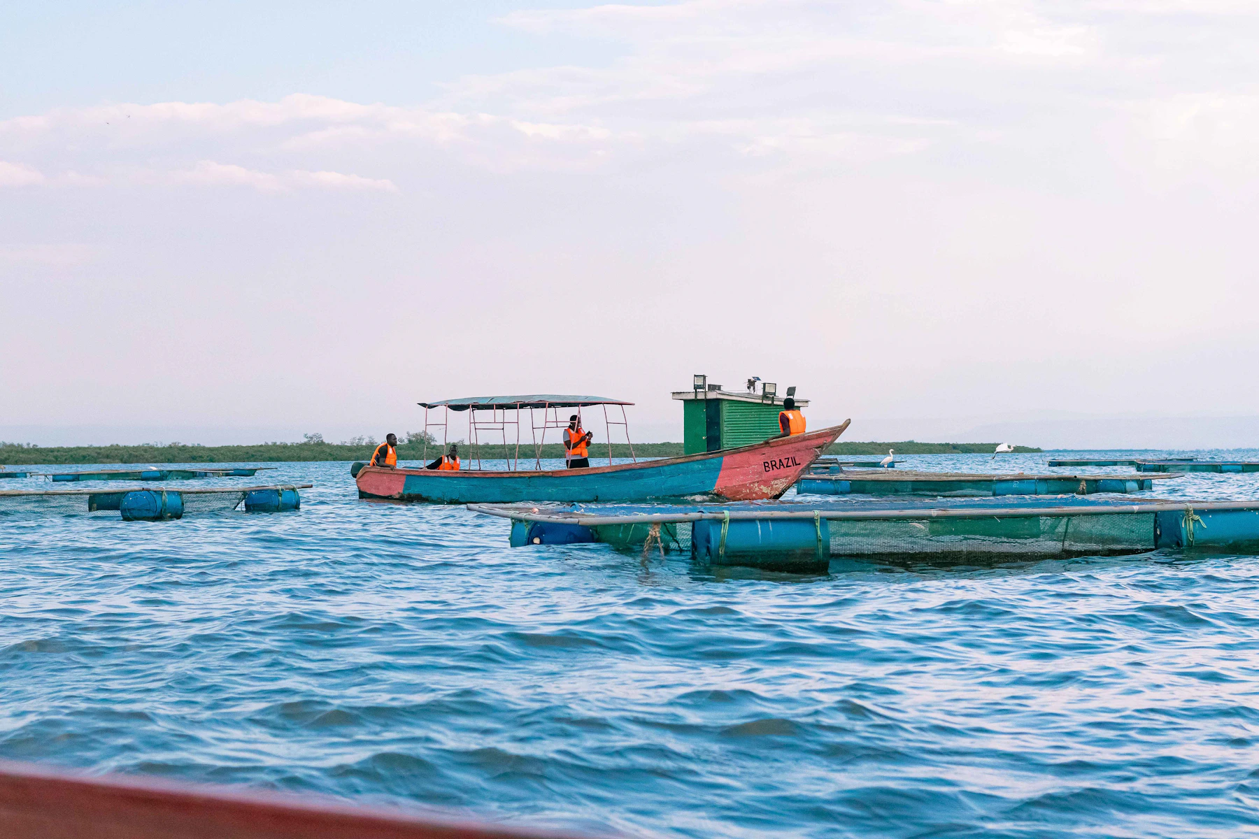 Aquaculture farm structures on Lake Victoria near Kisumu