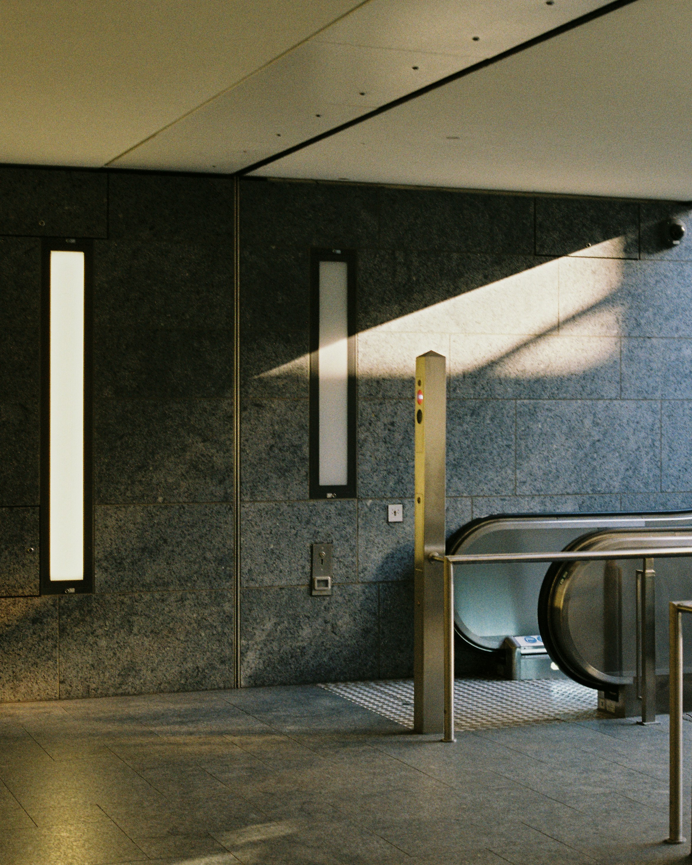 Photo by luca_severin