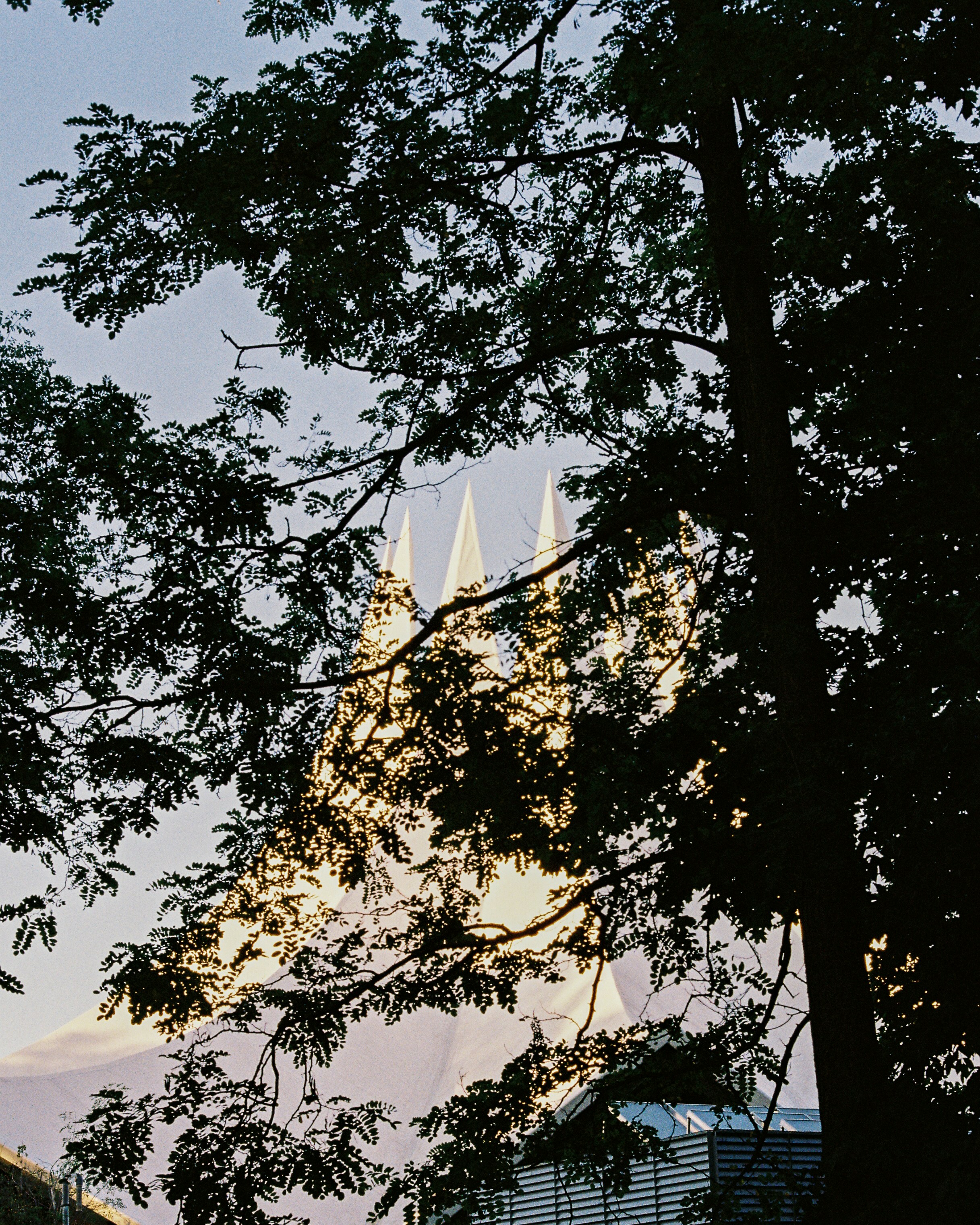 Photo by luca_severin