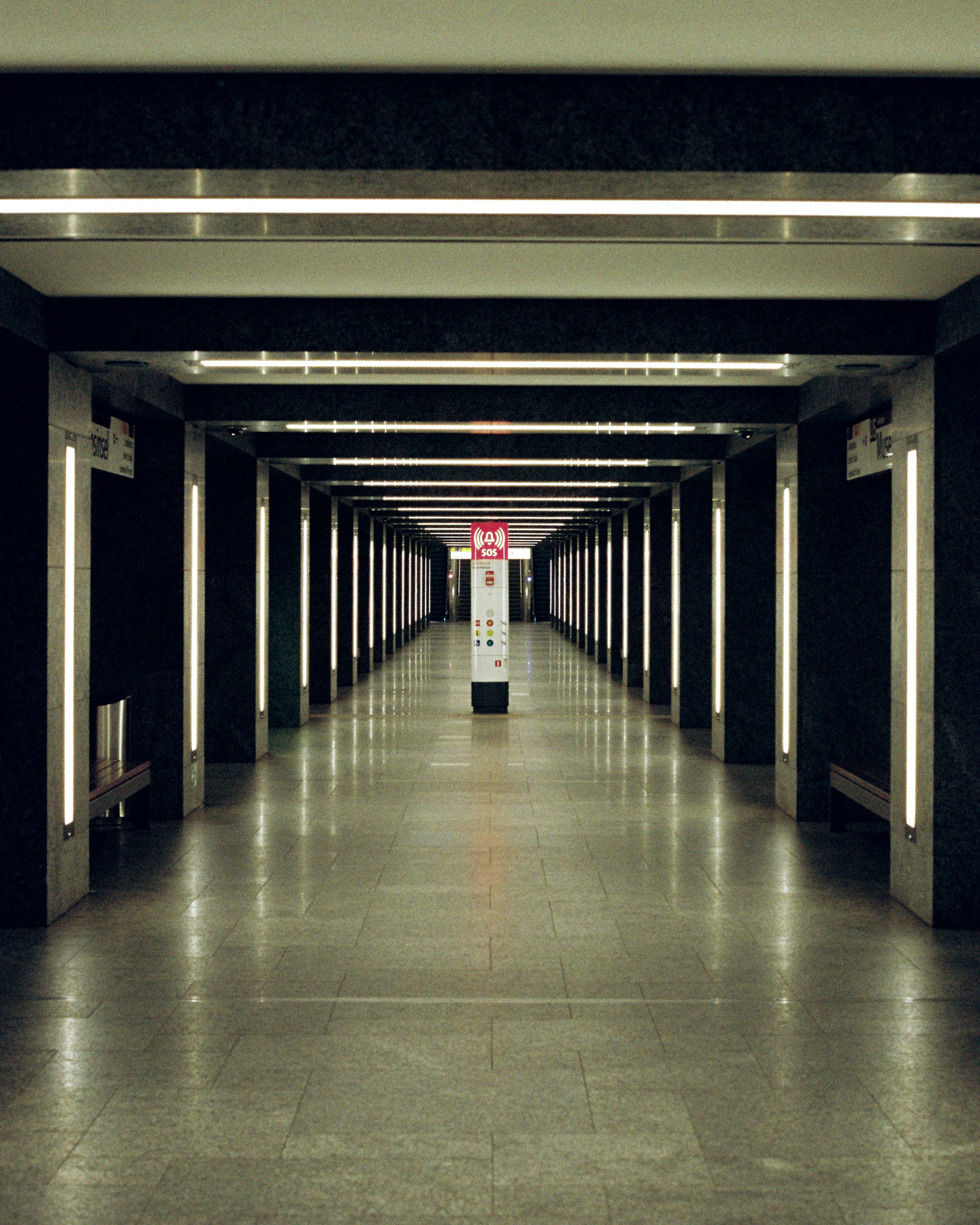 Photo by luca_severin