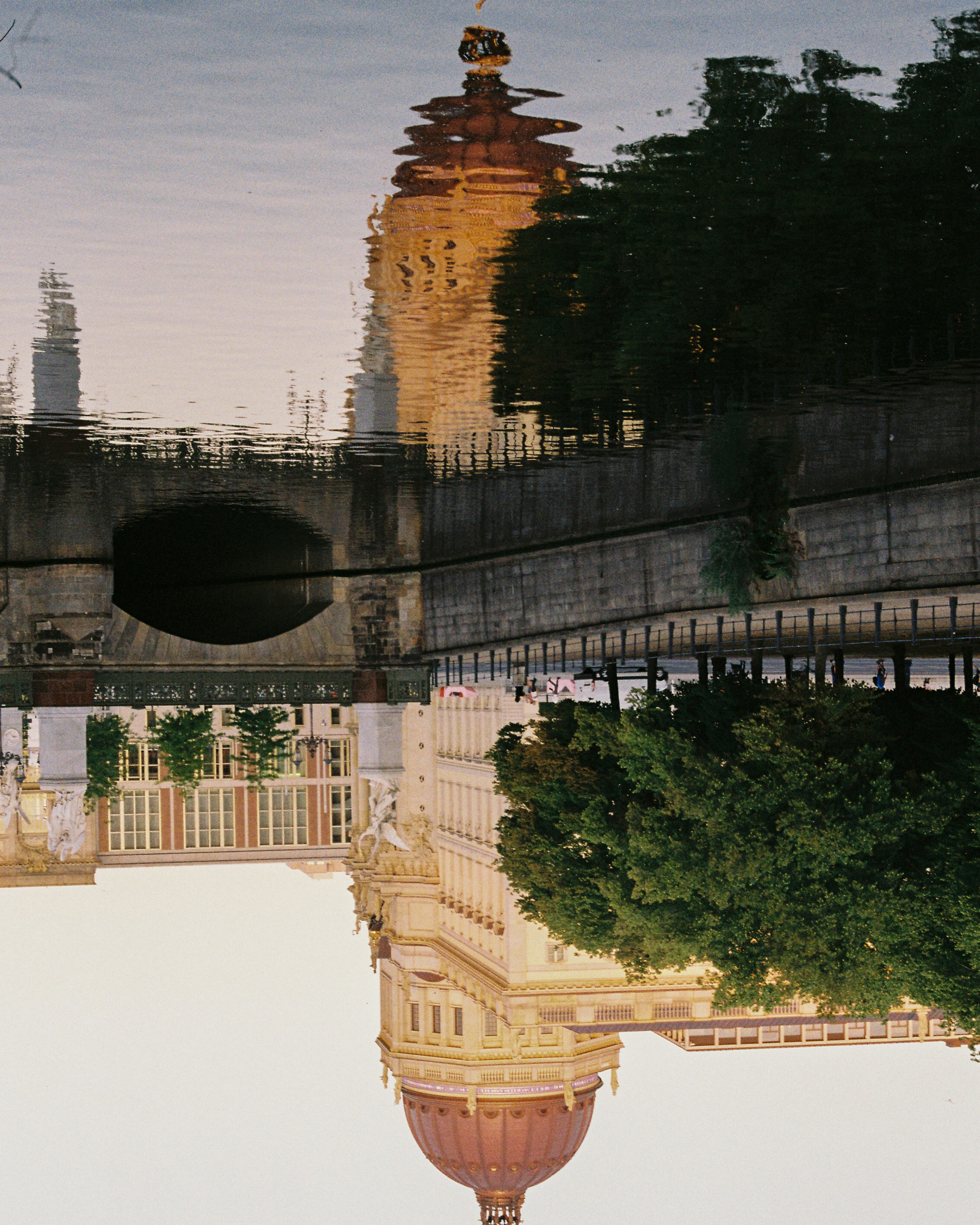 Photo by luca_severin