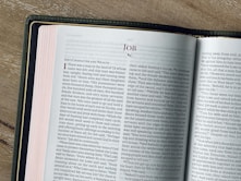 An open bible displays the book of job.