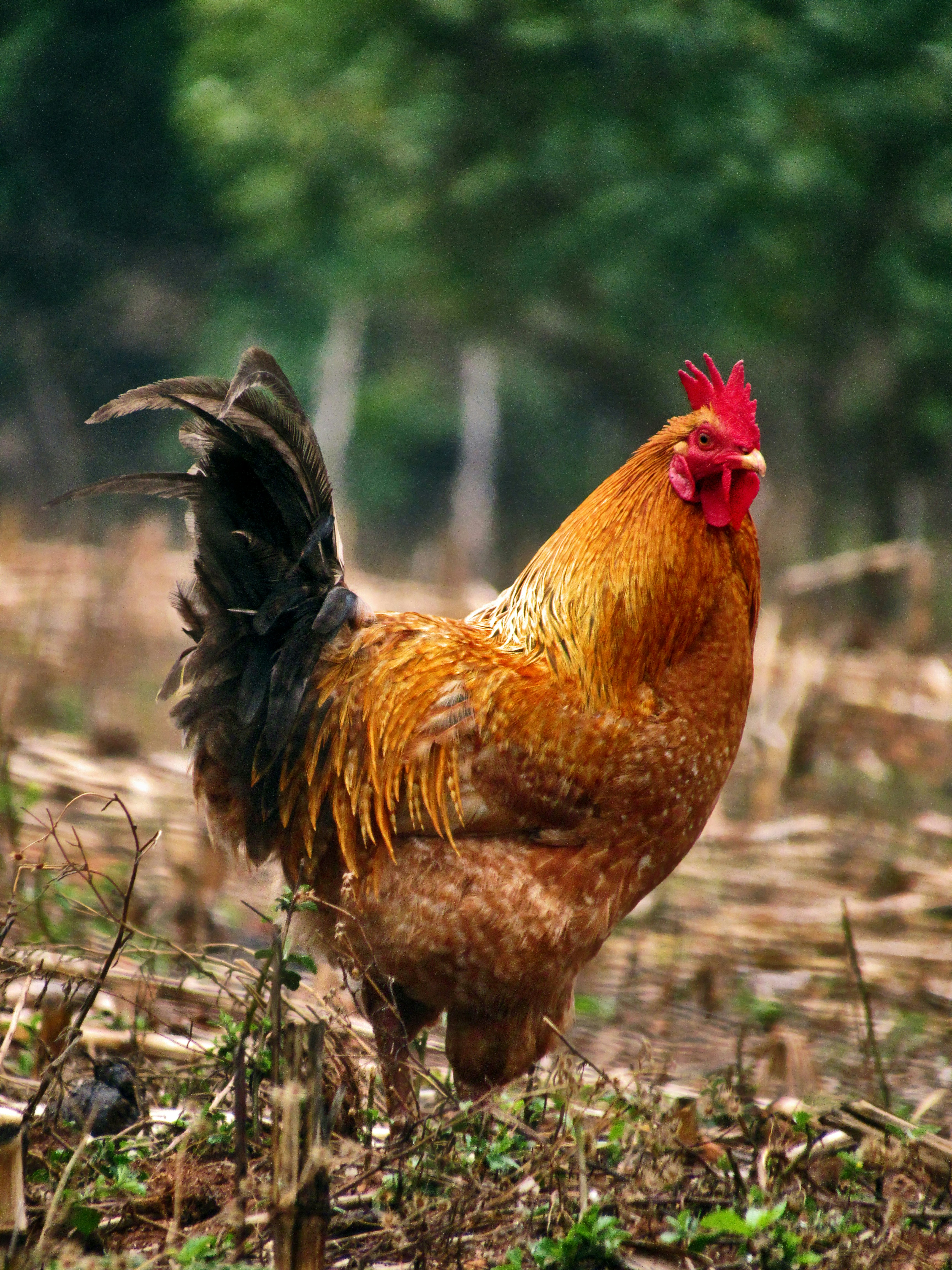 Photo by proudlyswazi