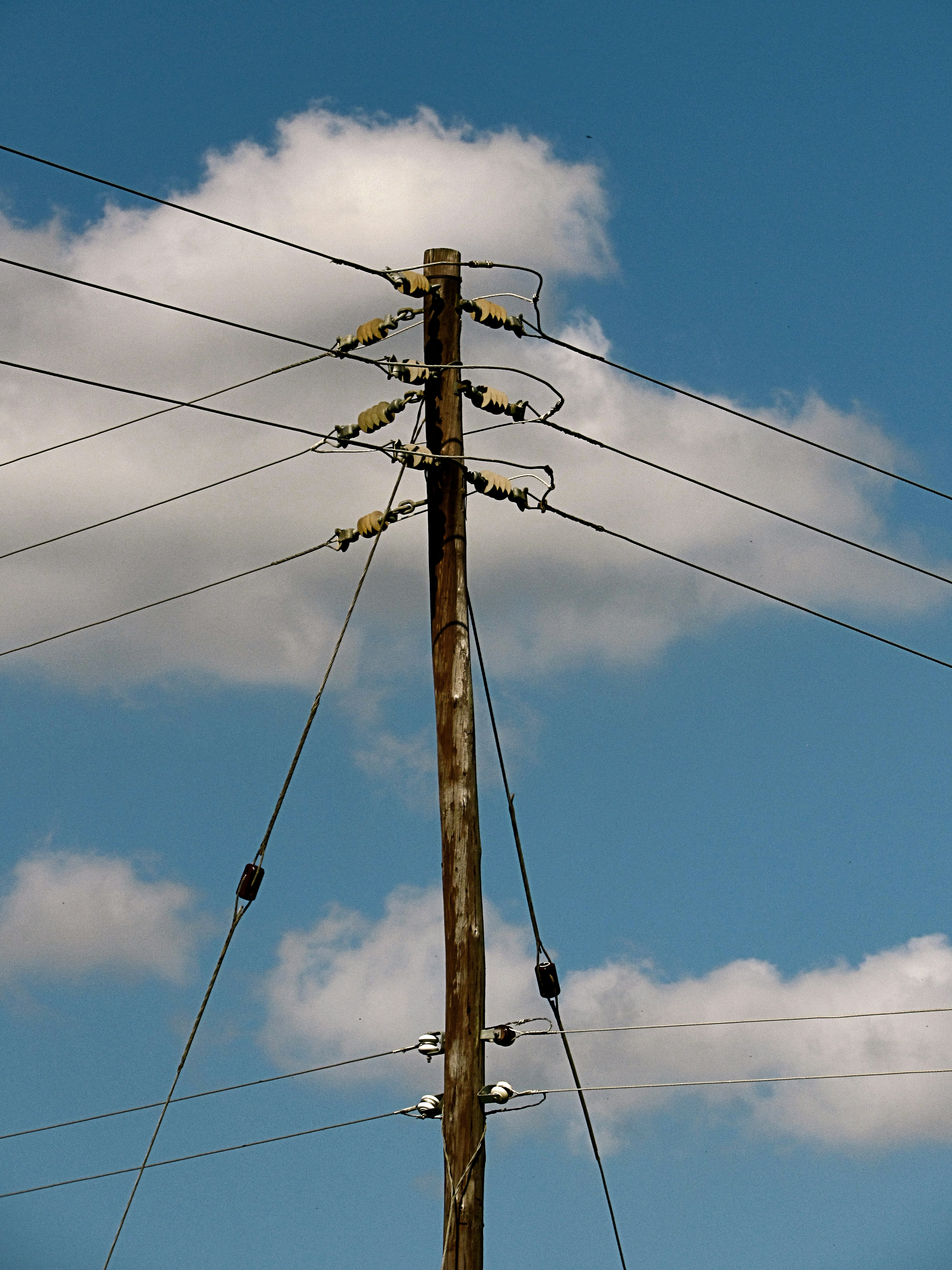 Photo by proudlyswazi