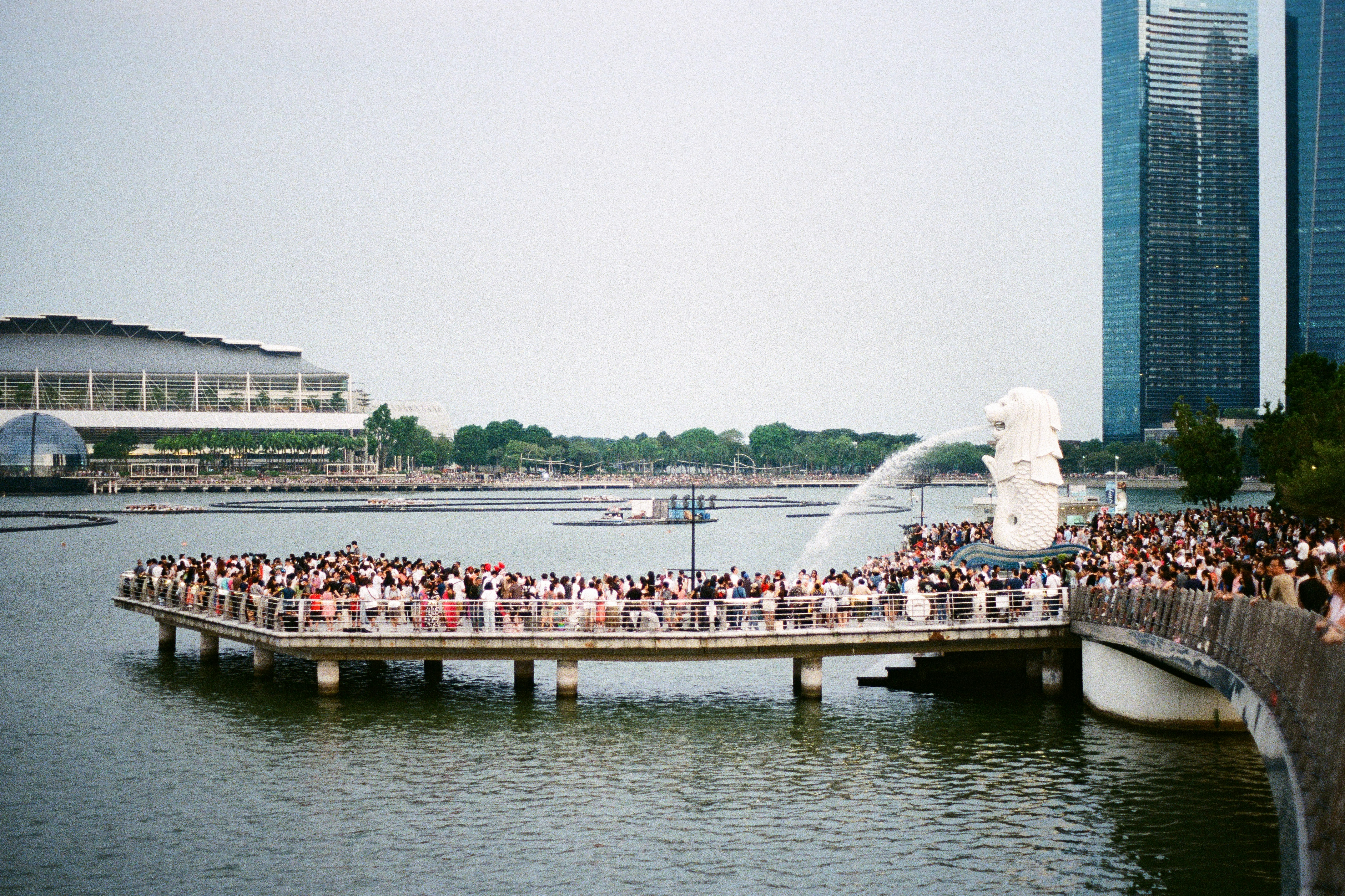 The merlion statue is surrounded by a crowd.