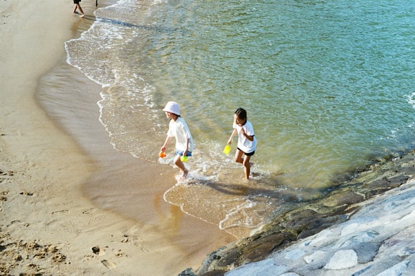 Little Shredder Boardshorts