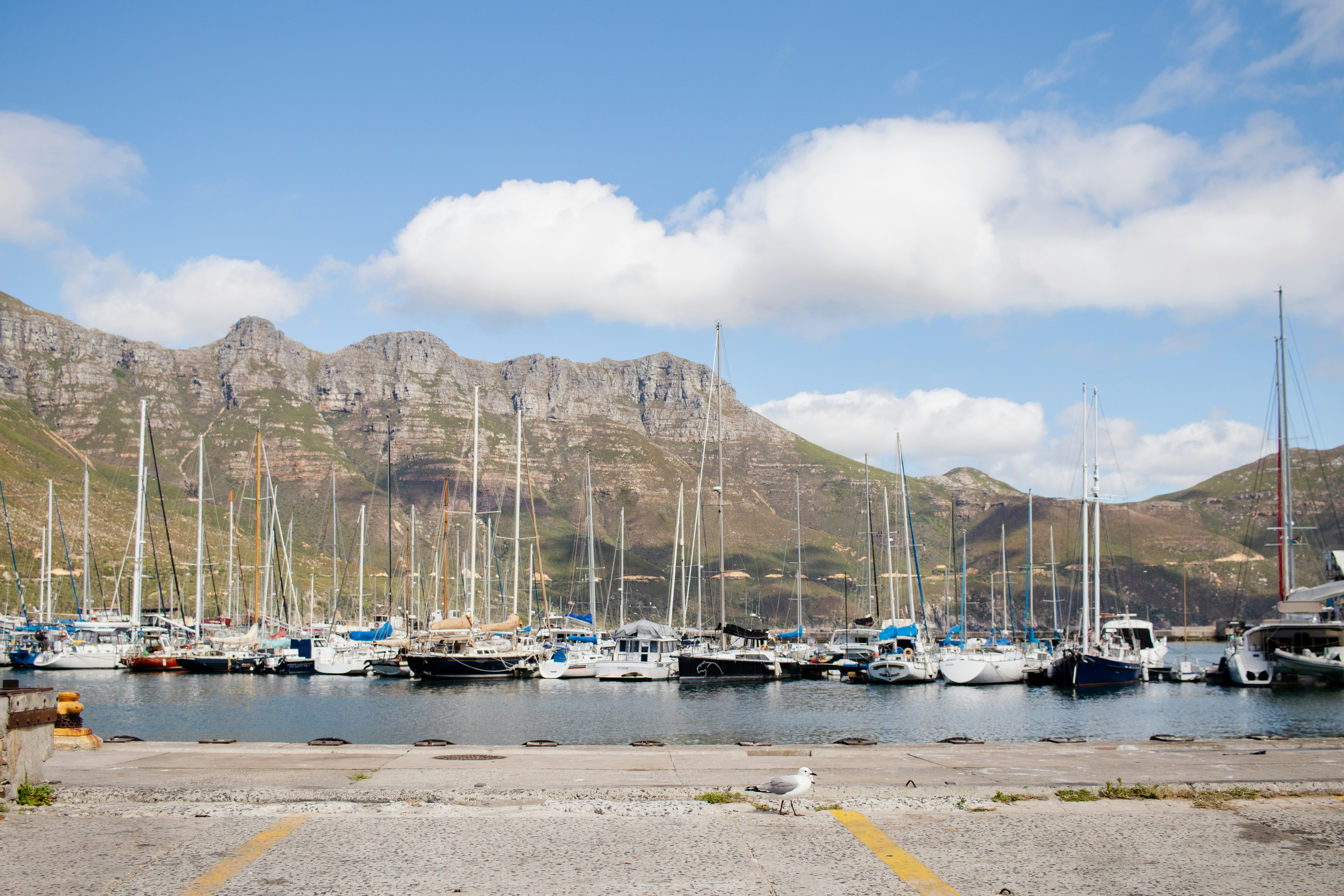 Photo by ashford_marx