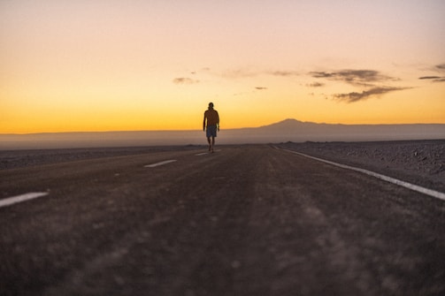 A person walks alone on a desert road.