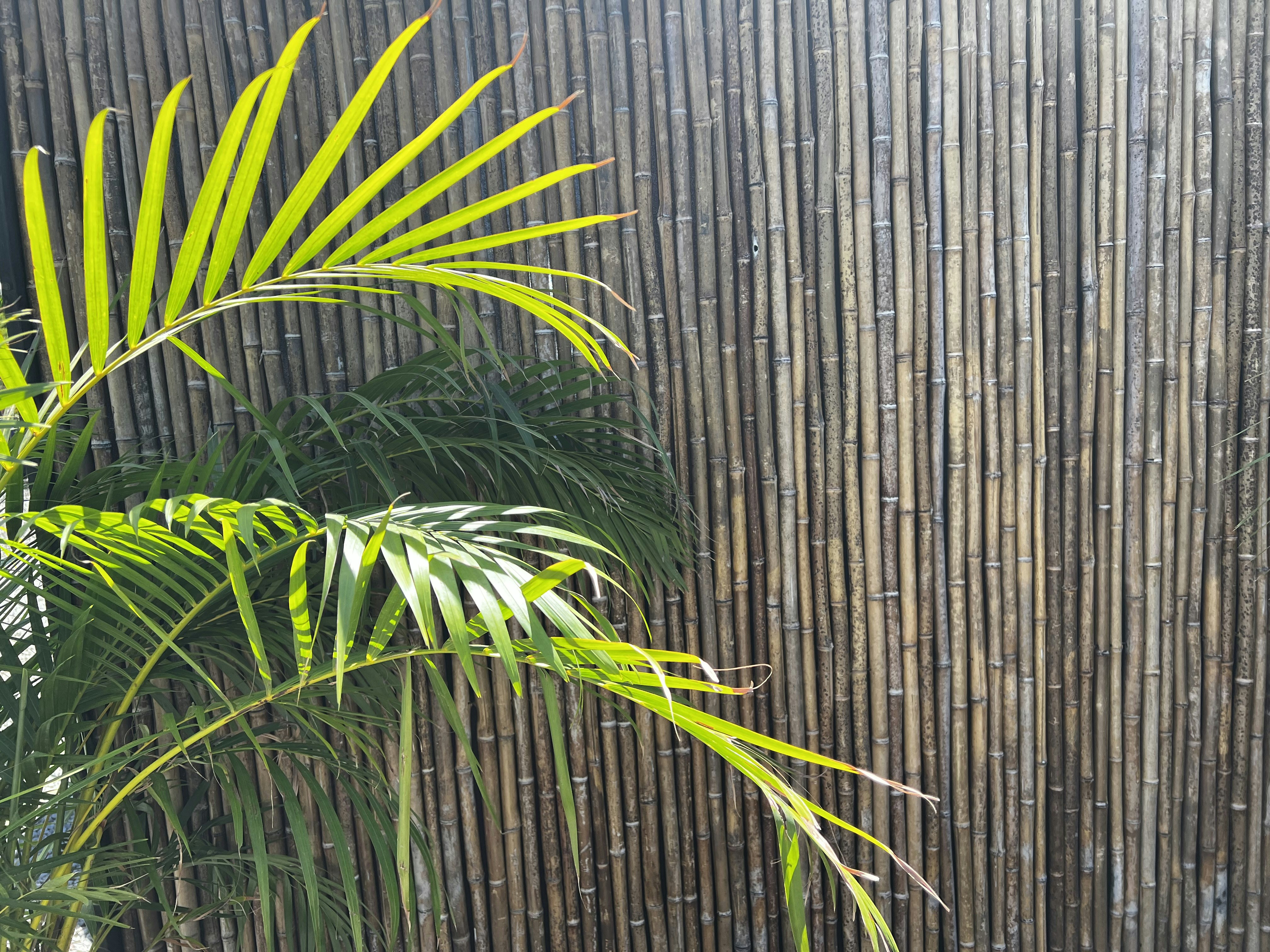 Photo by srossmorris